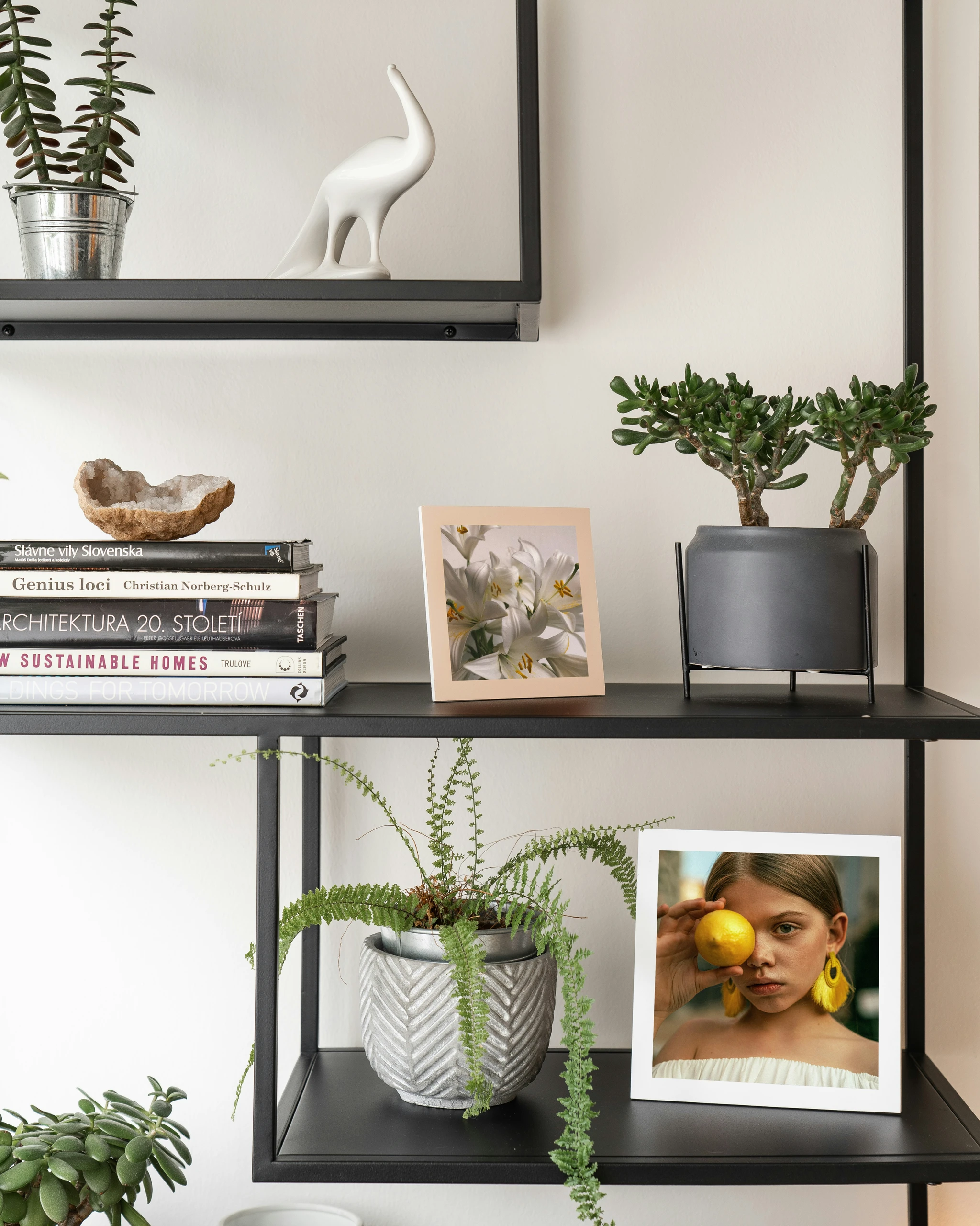 Stylish wall-mounted black metal shelving unit displaying a mix of framed photos, decorative books, and potted greenery. The shelves with pictures and plants create a cozy and personalized atmosphere, featuring minimalist design elements like a ceramic bird sculpture and modern planters. A great example of living room decor ideas for walls that blend natural textures with visual storytelling and contemporary style.