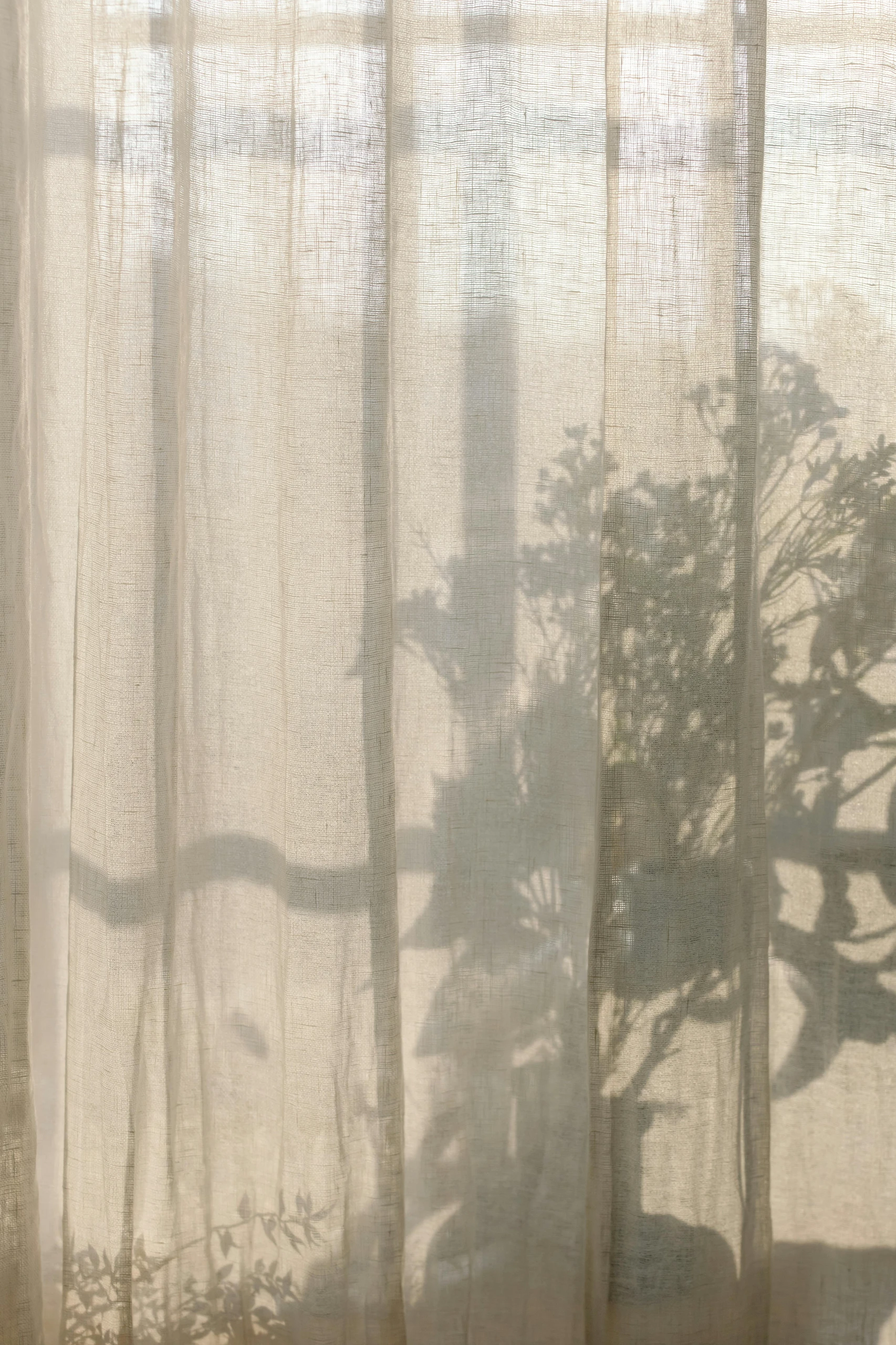 Sheer beige linen curtains filter soft sunlight while casting delicate plant shadows, adding a tranquil touch to living room farmhouse decor ideas.