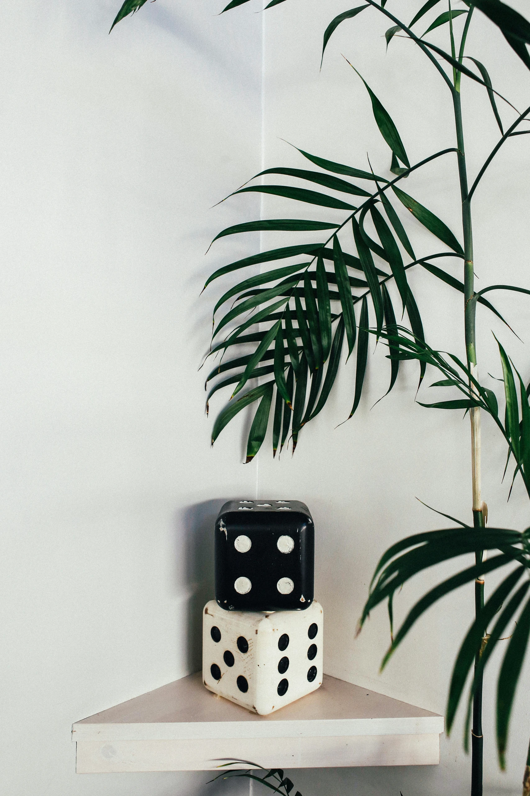Two decorative dice placed on a triangular corner shelf surrounded by green plants, showcasing smart small bedroom ideas with storage using compact and stylish corner shelving units.
