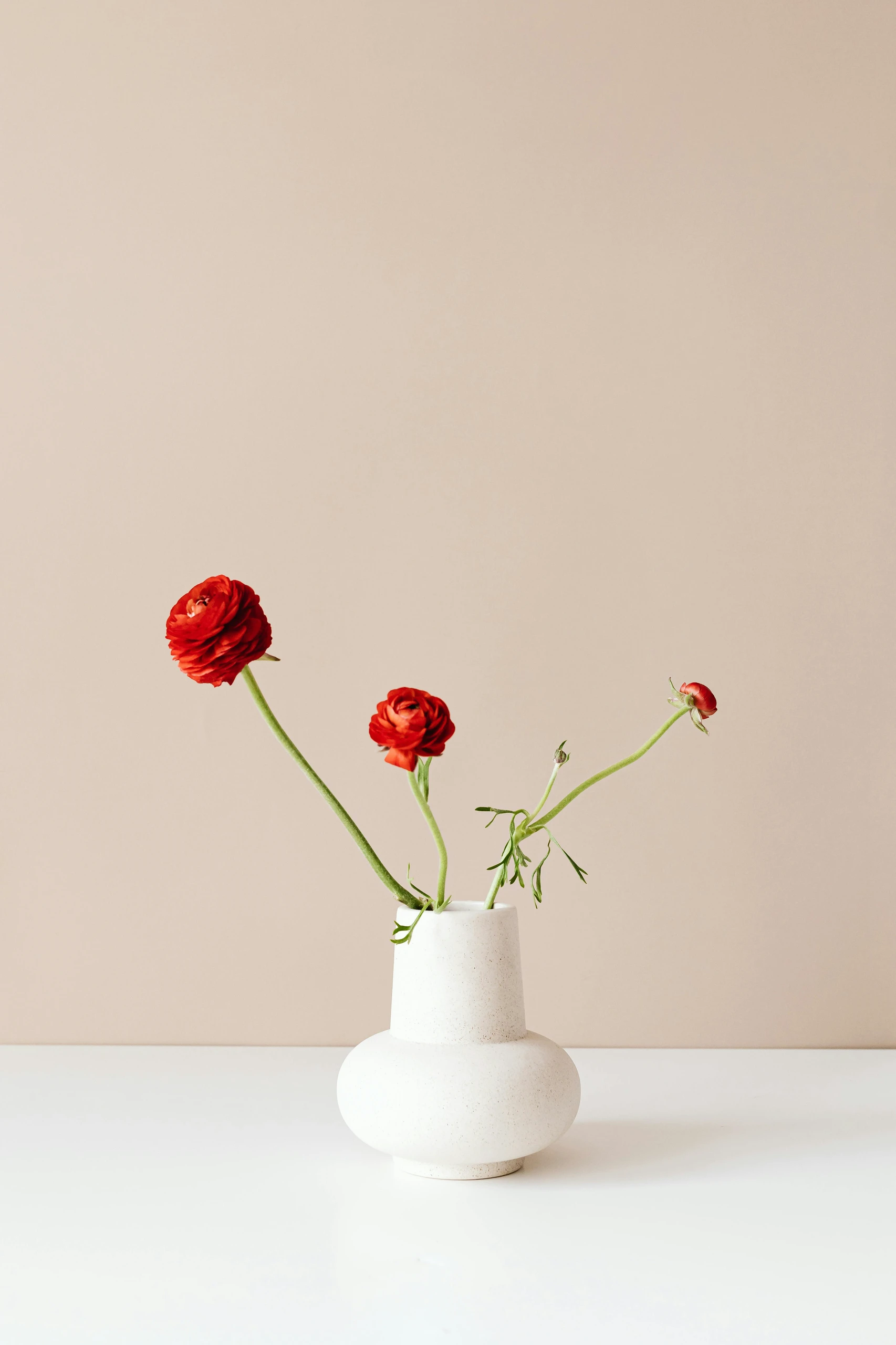 Dining table centerpiece ideas with a minimalist white vase holding red flowers as a striking color accent against a neutral background.