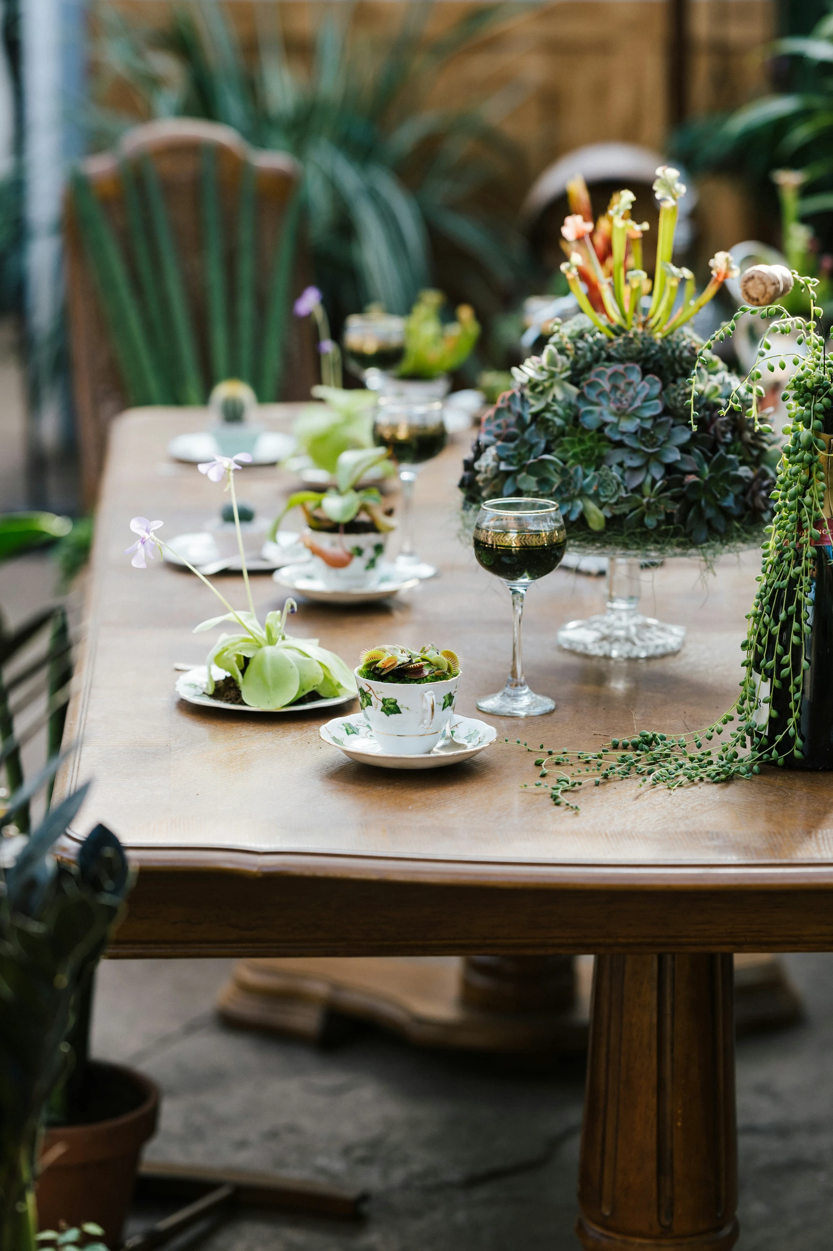 Dining table centerpiece ideas with succulents, featuring a creative arrangement of small potted plants and teacups filled with greenery on a wooden table, creating a fresh and natural look for an indoor or outdoor gathering.