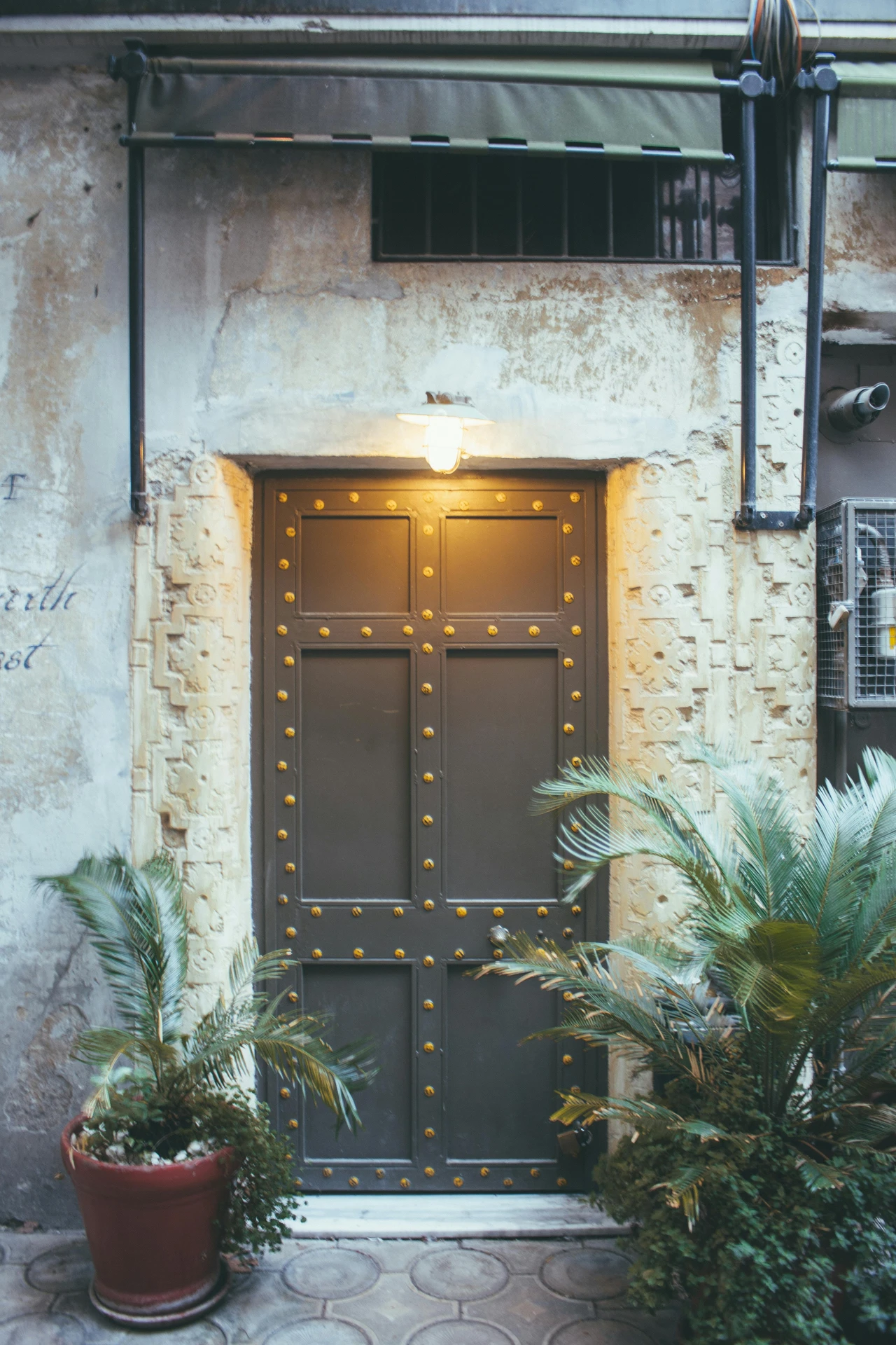 A dark industrial-style front door accented with golden rivets, framed by a textured, weathered wall and illuminated by a vintage light fixture, surrounded by lush potted palms, offering bold ideas for front door decor with an industrial look with golden rivets.