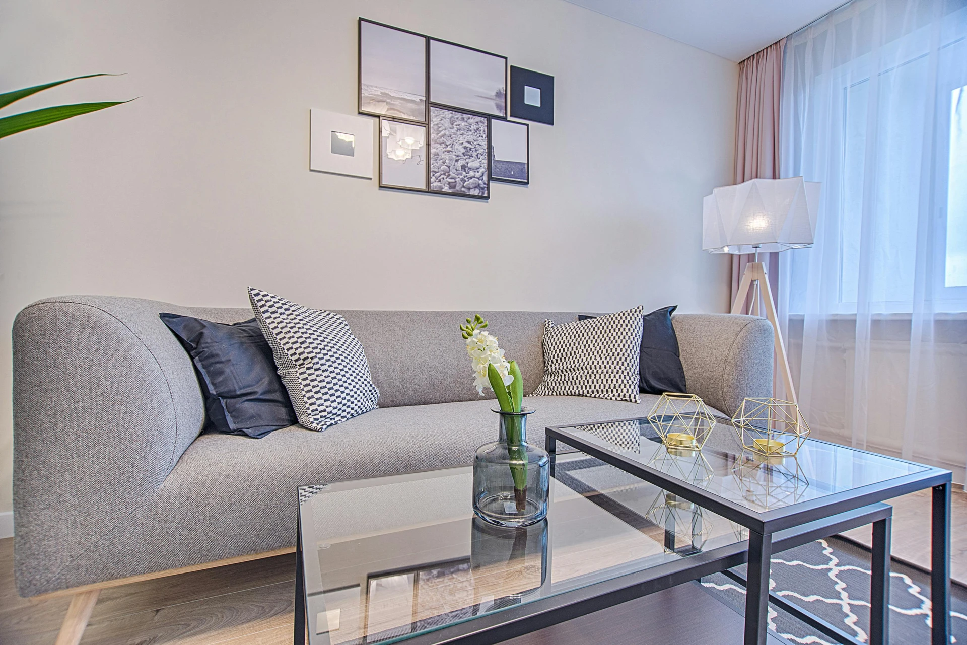 Modern living room with a sleek grey sofa styled with a symmetric plain and patterned pillow combo, featuring black pillows paired with black-and-white geometric patterned ones for balance. A glass coffee table with minimal decor, a soft area rug, and wall art above the sofa complete the look. This setup shows how to style a grey sofa, showing how symmetry and contrast in pillow choices can create a polished yet cozy atmosphere.