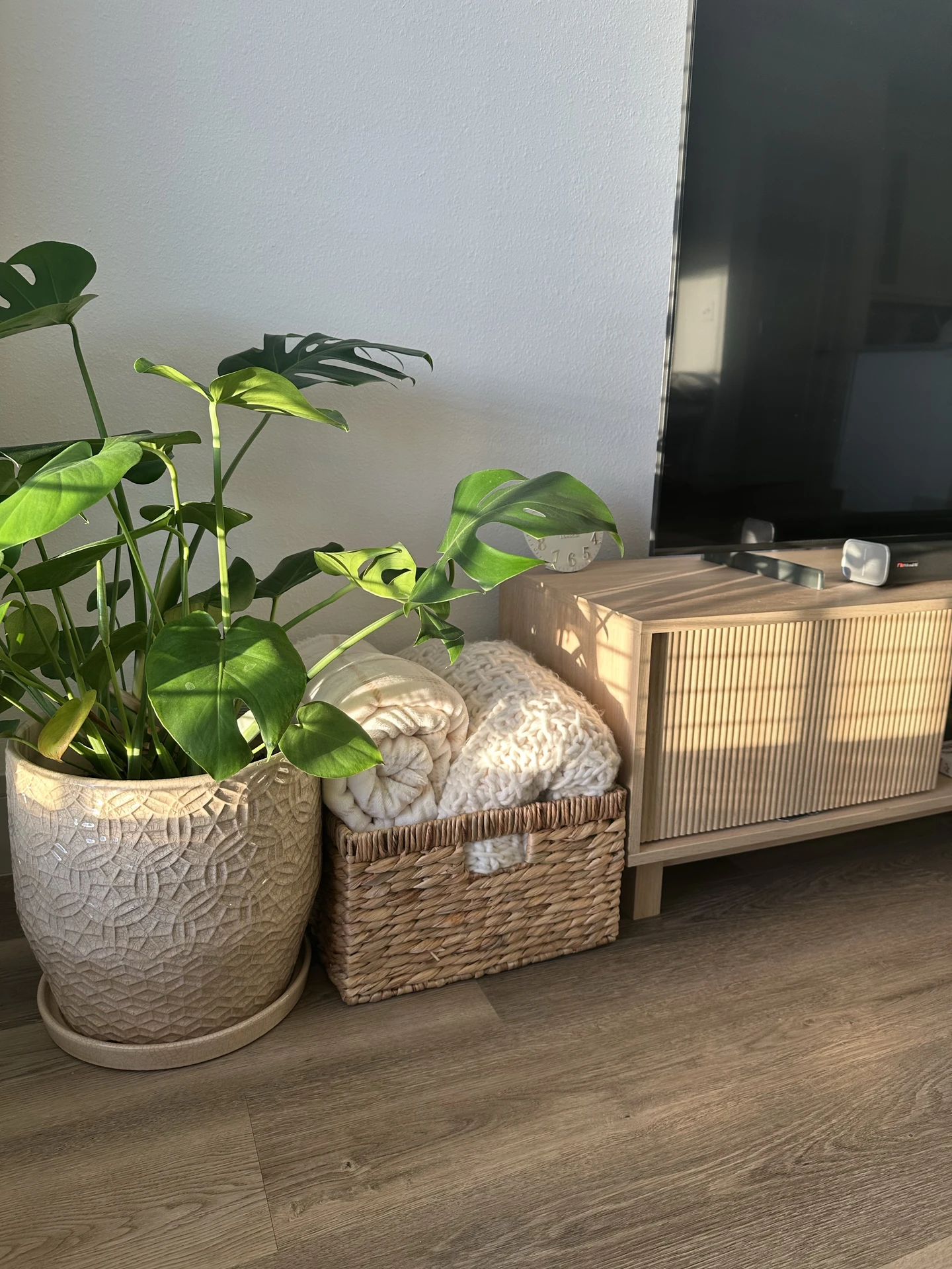 A stylish living room makeover idea featuring a large ceramic plant pot with a monstera, paired with a woven basket neatly filled with soft blankets. Placed beside a wooden media console, this setup highlights how to keep the room tidy with storage baskets while adding warmth and texture to the space.