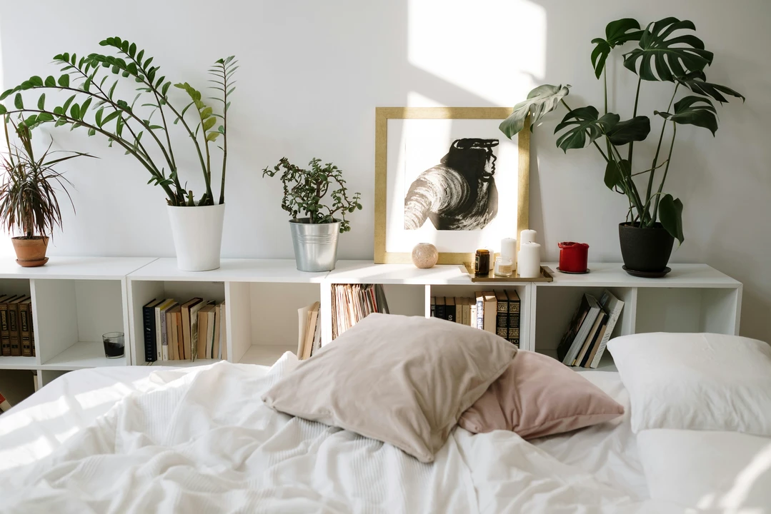 A cozy, light-filled bedroom featuring shelves in the shape of boxes along the wall, creatively used for both book storage and decorative display. The shelves hold a mix of books, candles, and potted plants, while a framed monochrome art piece adds personality. Soft pillows in neutral tones rest on a neatly made bed, illustrating stylish and practical bedroom ideas with storage that combine functionality and modern aesthetics.