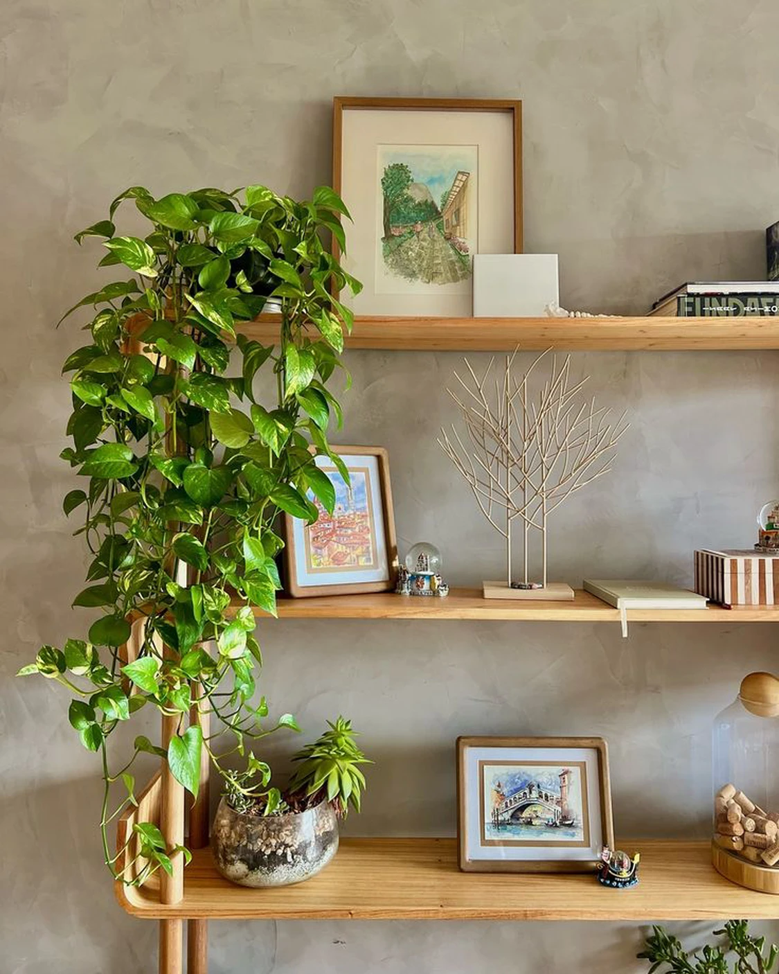 Floating shelves with pictures and plants arranged on a neutral wall, combining framed artwork with small green accents for a balanced look. This setup highlights simple yet stylish living room decor ideas for walls, showing how layering greenery with personal photos can add warmth and character to any space.