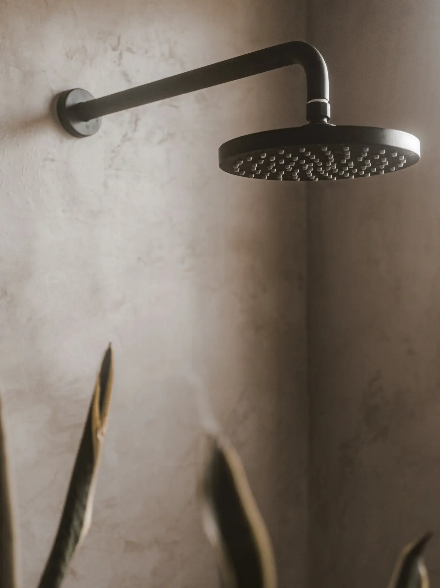 A matte black rainfall showerhead mounted on a textured wall, highlighted with soft natural light, showing how luxurious elements can transform a small bathroom remodel into a spa-like retreat.