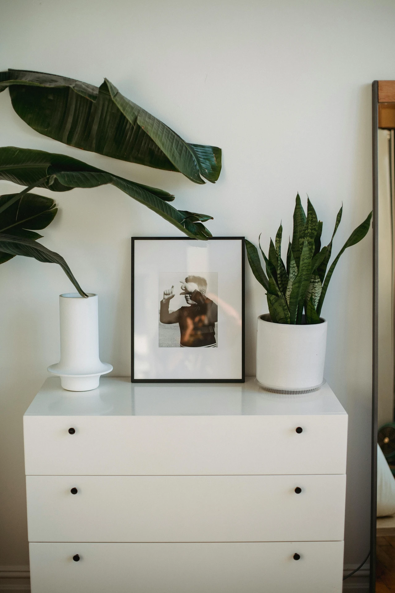 A fresh take on small bedroom decor featuring a sleek white compact chest of drawers instead of a wide wardrobe, perfect for saving space. The surface is styled with a framed black-and-white photo, a sculptural white vase, and a potted snake plant, while large leafy greenery frames the corner. A tall mirror leaning against the wall adds depth and light, giving the room an airy, modern touch.
