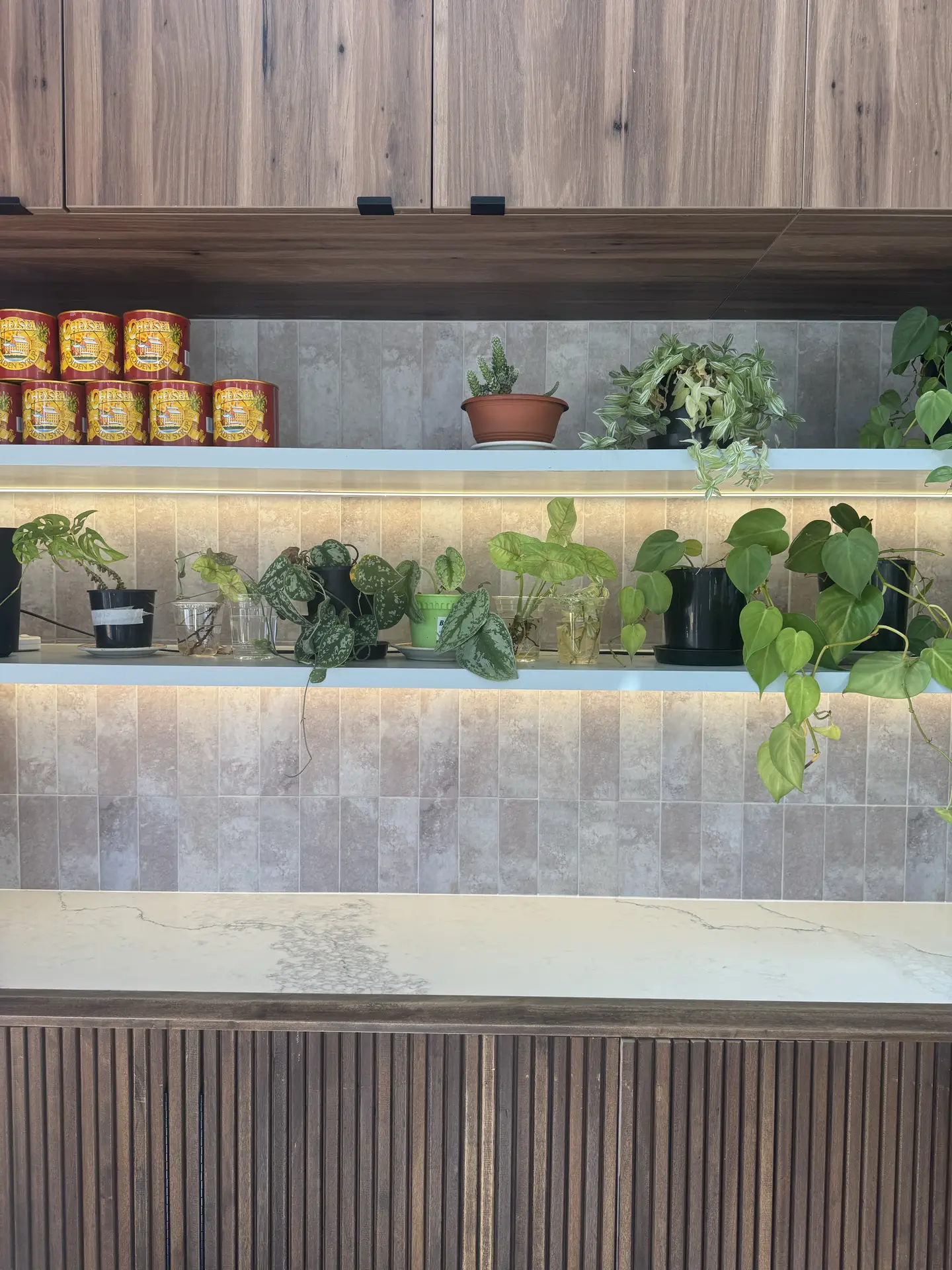 A kitchen with a natural and earthy look featuring wooden cabinetry, a marble countertop, and a backsplash made of tumbled stone tiles. Open shelves hold lush green plants and pantry items, softly illuminated by warm underlighting. This setup offers organic kitchen backsplash ideas that bring texture and warmth to modern interiors.