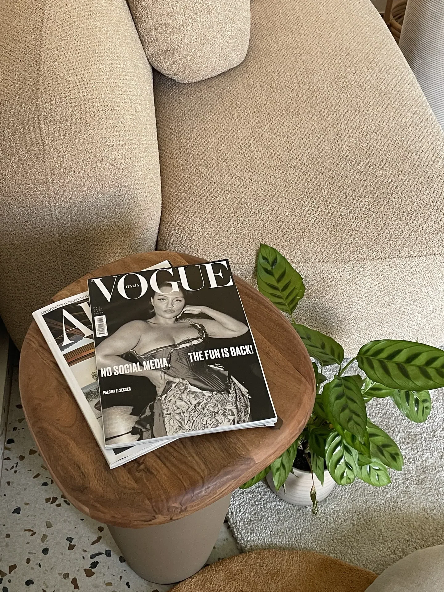 A cozy living room scene with a beige textured sofa, a wooden side table topped with magazines, and a leafy green plant adding a touch of freshness. The balanced composition and neutral tones reflect living room ideas centered on a symmetrical setup that feels calm, curated, and effortlessly modern.
