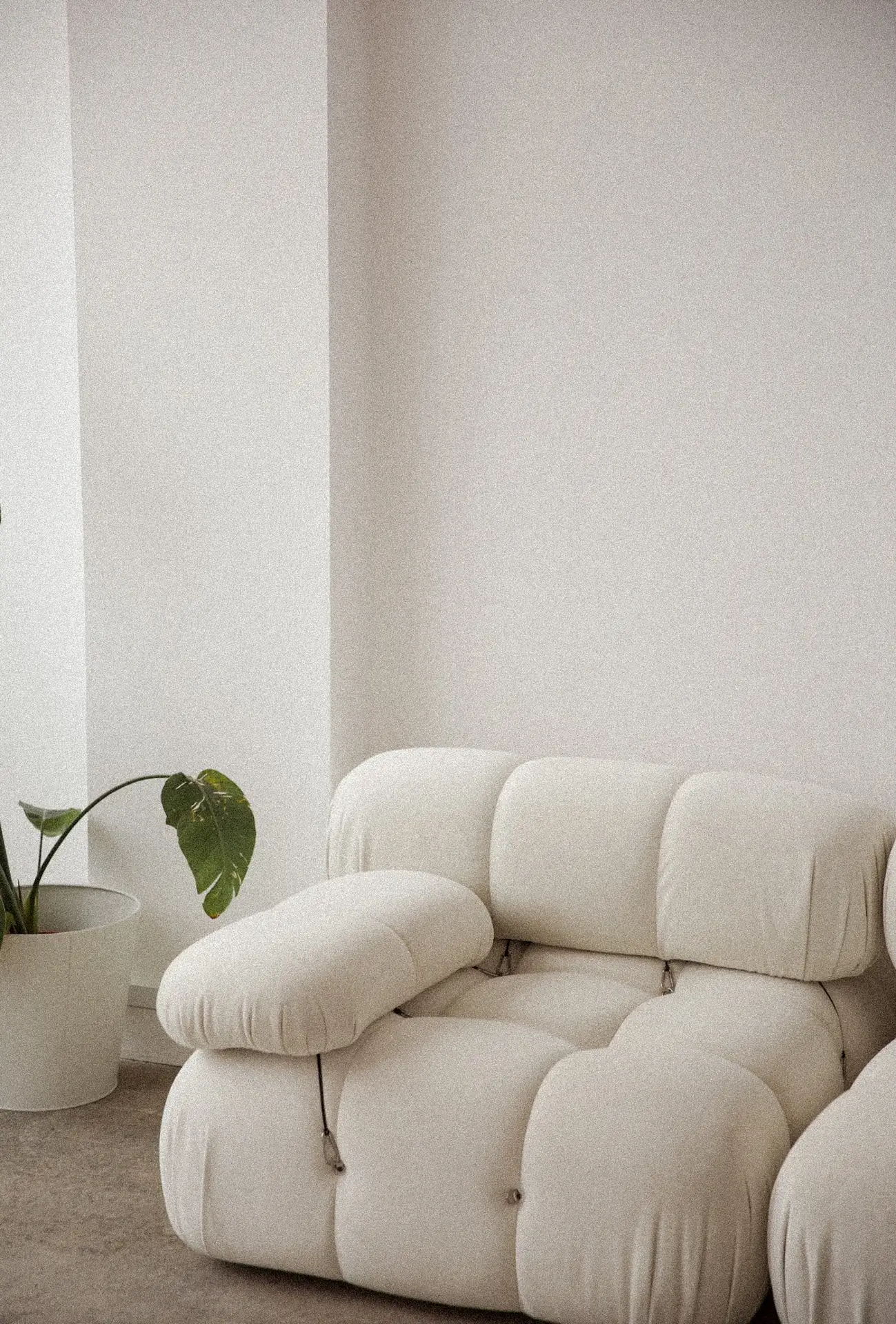 A minimalist living room showcasing a sculptural cream sofa as the single statement piece. The soft, rounded design adds texture and visual interest to the otherwise clean, neutral space, complemented by a simple potted plant for a natural touch.