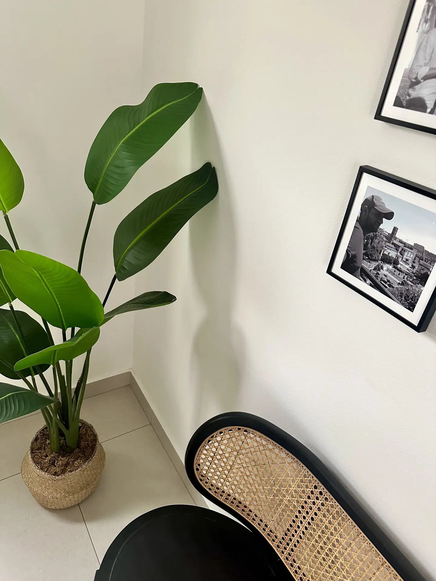 A bright corner styled with small living room decor, featuring tall plants in a woven basket adding height and freshness to the space. A black chair with a cane backrest sits nearby, and two black-framed photographs hang on the wall, creating a simple yet inviting setup that works in many home styles.