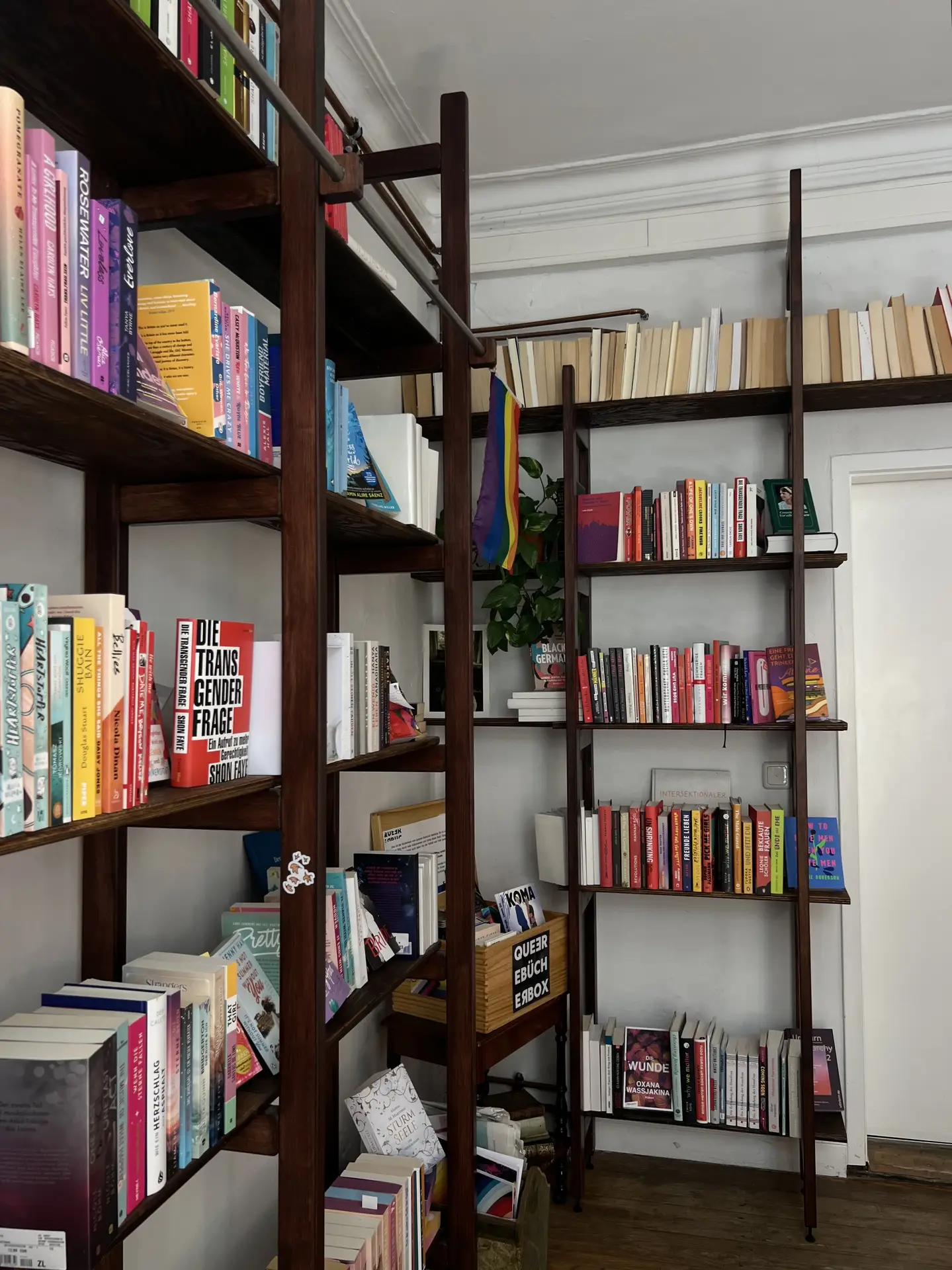 A cozy room filled with bookshelves showcasing small living room decor and tall vertical storage, featuring dark wooden shelves stacked with colorful books, a sliding ladder, and a few plants tucked between the sections. The setup makes the most of the wall height, creating a warm, library-like atmosphere while keeping the space functional and inviting.