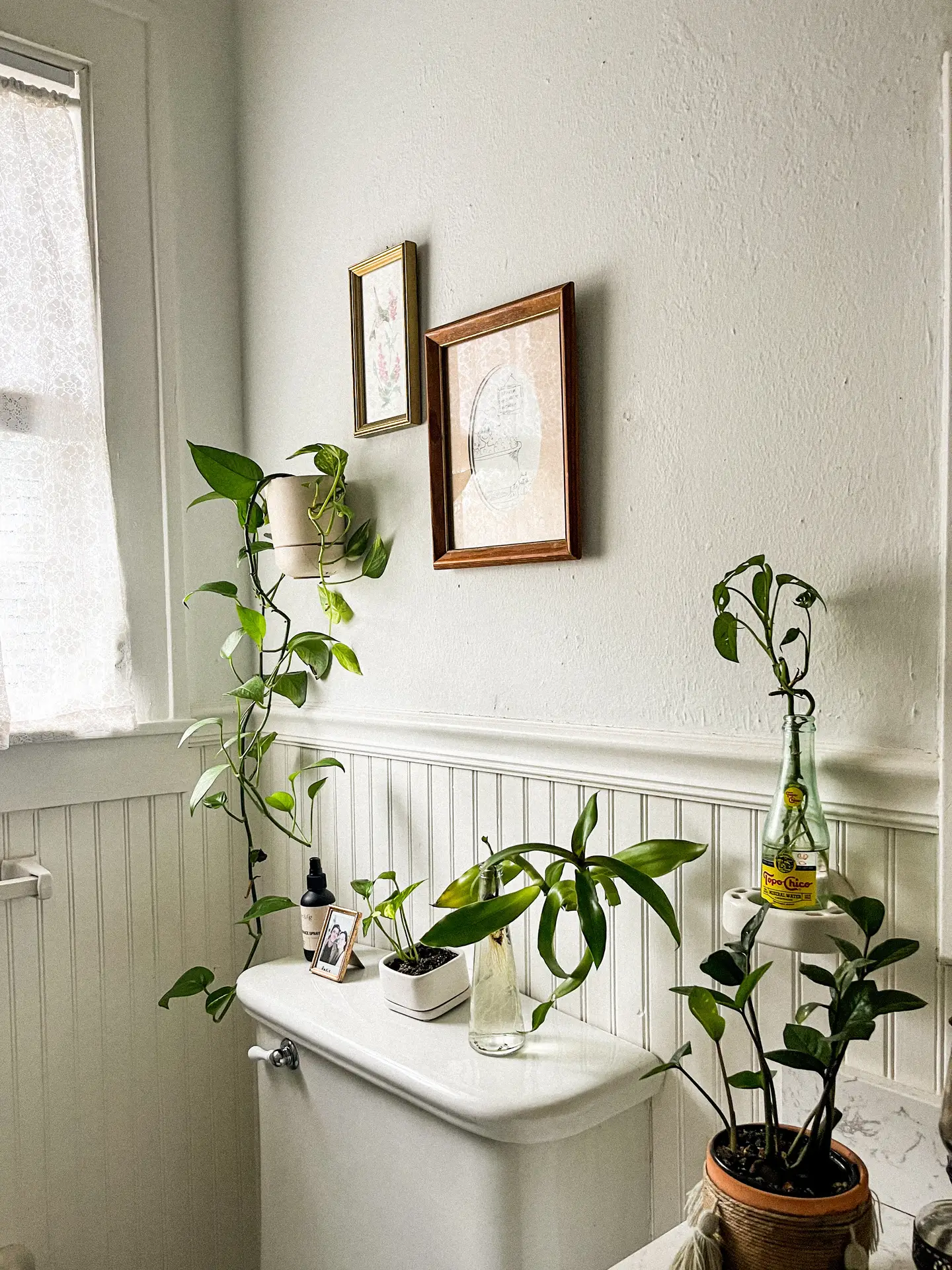 A charming bathroom corner with beadboard walls, simple artwork, and an assortment of plants arranged on and around the toilet tank. Trailing vines, potted greenery, and small cuttings in glass bottles bring life and softness to the neutral space. The mix of textures and natural elements offers small bathroom decor ideas that use greenery to make even compact rooms feel fresh and inviting.