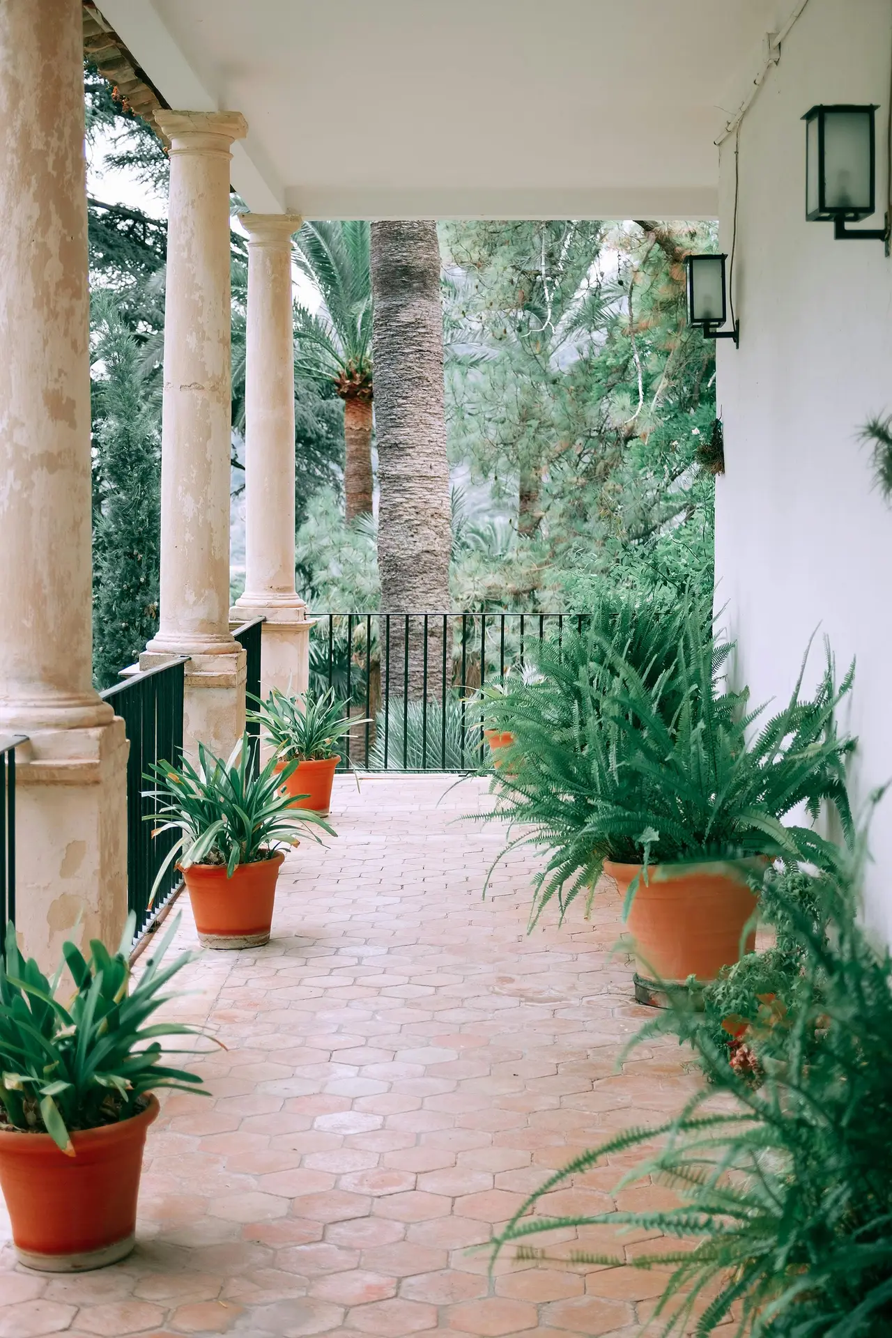 Front porch decor ideas for spring featuring a bright, airy porch with tall columns, terracotta pots, and lush greenery in planters lining a tiled walkway, framed by soft natural light and surrounding trees for a calm, Mediterranean-inspired outdoor setting.
