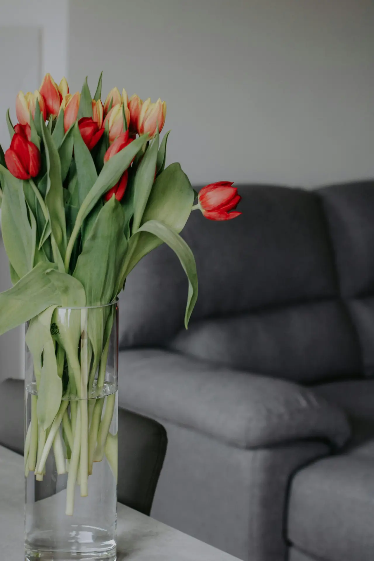 Fresh spring decor ideas for living room featuring a clear glass vase with tulips in soft red and yellow tones placed on a table, set against a cozy gray sofa that adds a calm, modern backdrop.
