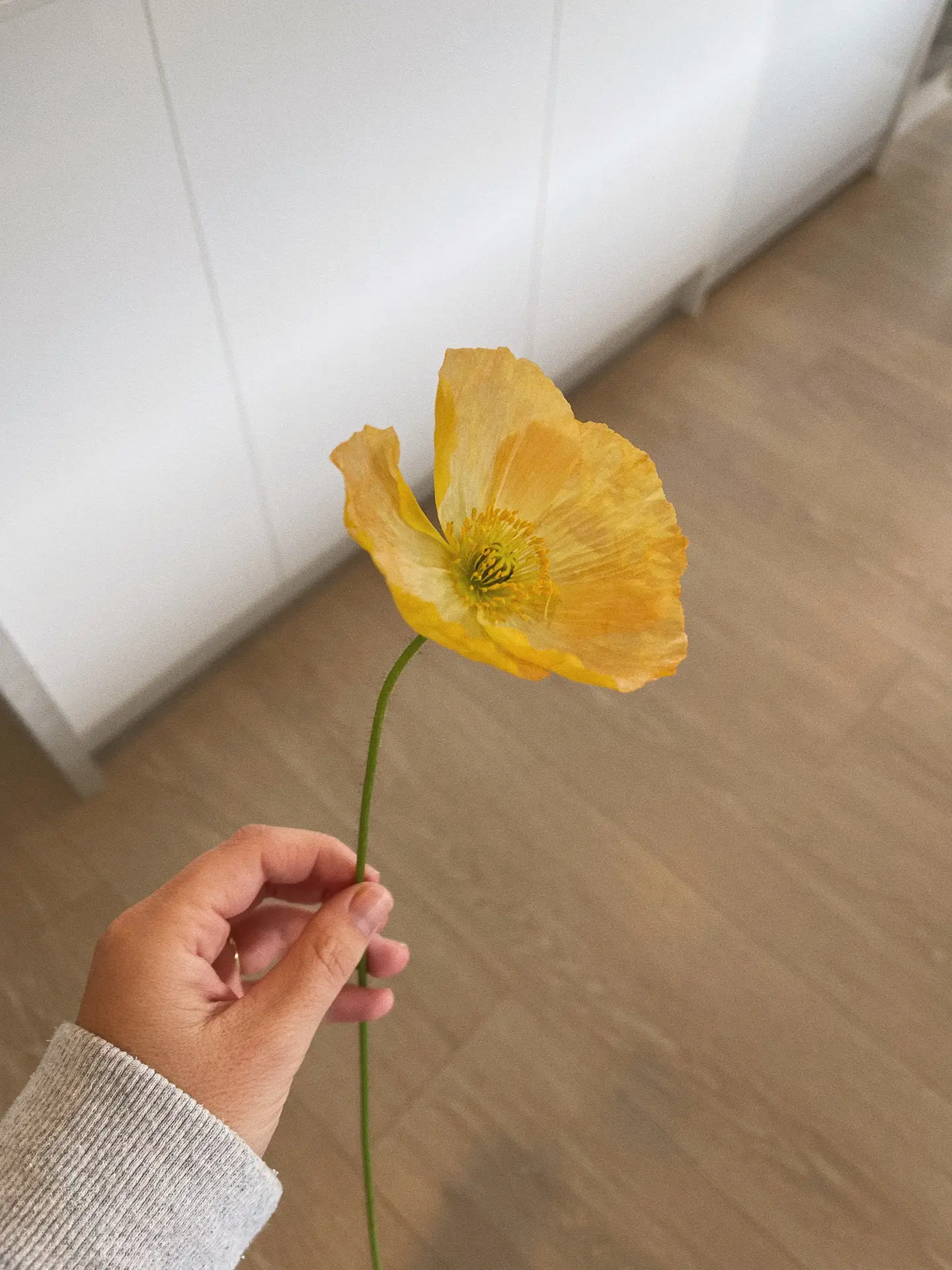 A hand holding one single dry flower with soft yellow petals and a slender green stem, set against a neutral indoor background with light flooring and white cabinetry. The simple composition fits well with 12 Stunning Minimalist Decor Ideas For Spring, showing how one single dry flower can add a subtle, natural accent to calm and modern living spaces.