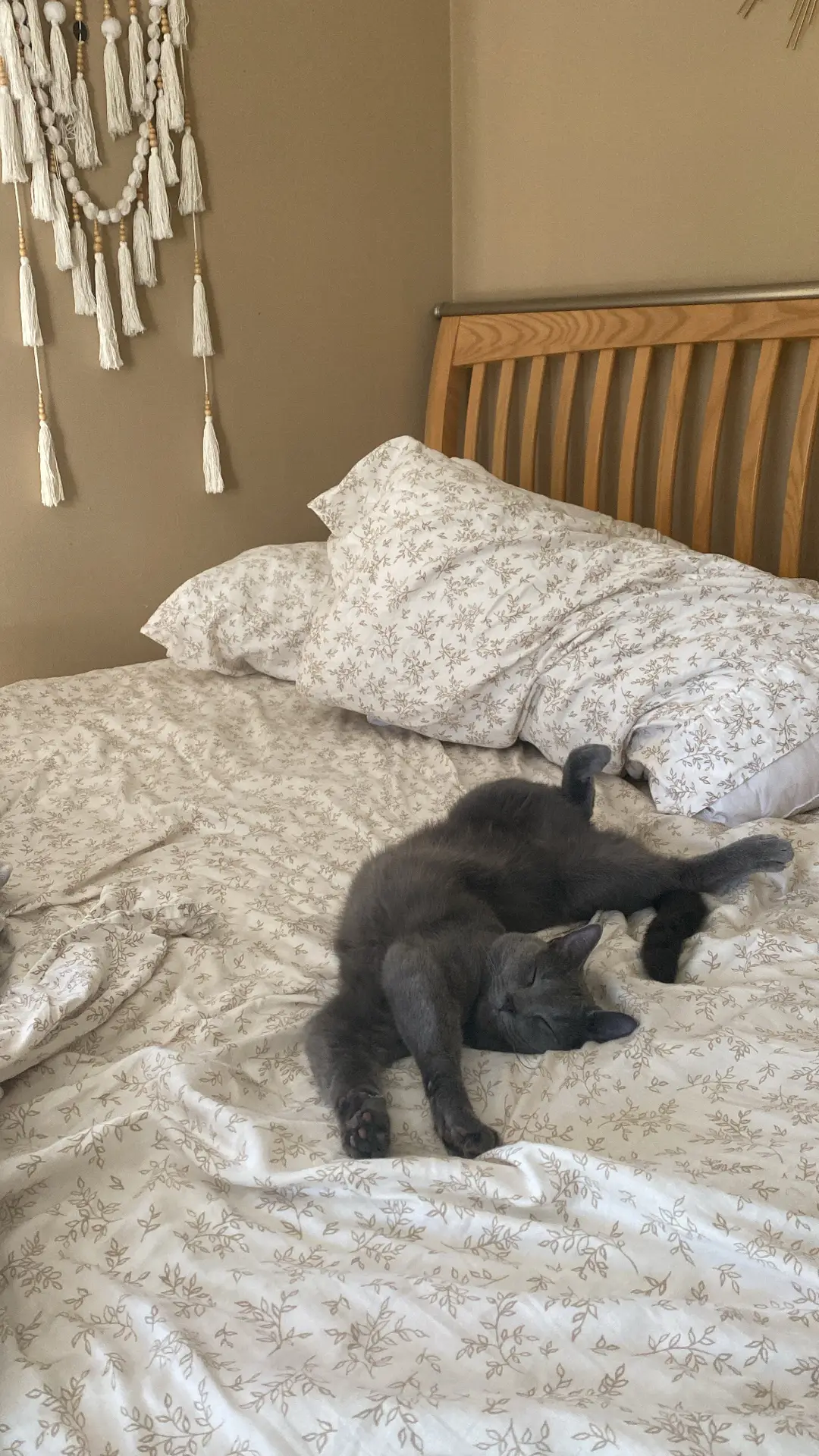 A grey cat sleeps comfortably on a bed with cream-colored sheets featuring an earthy twig and leaf botanical pattern. The warm-toned room includes a wooden headboard and a boho-style tassel wall hanging, offering cozy floral bedding ideas for pet owners.