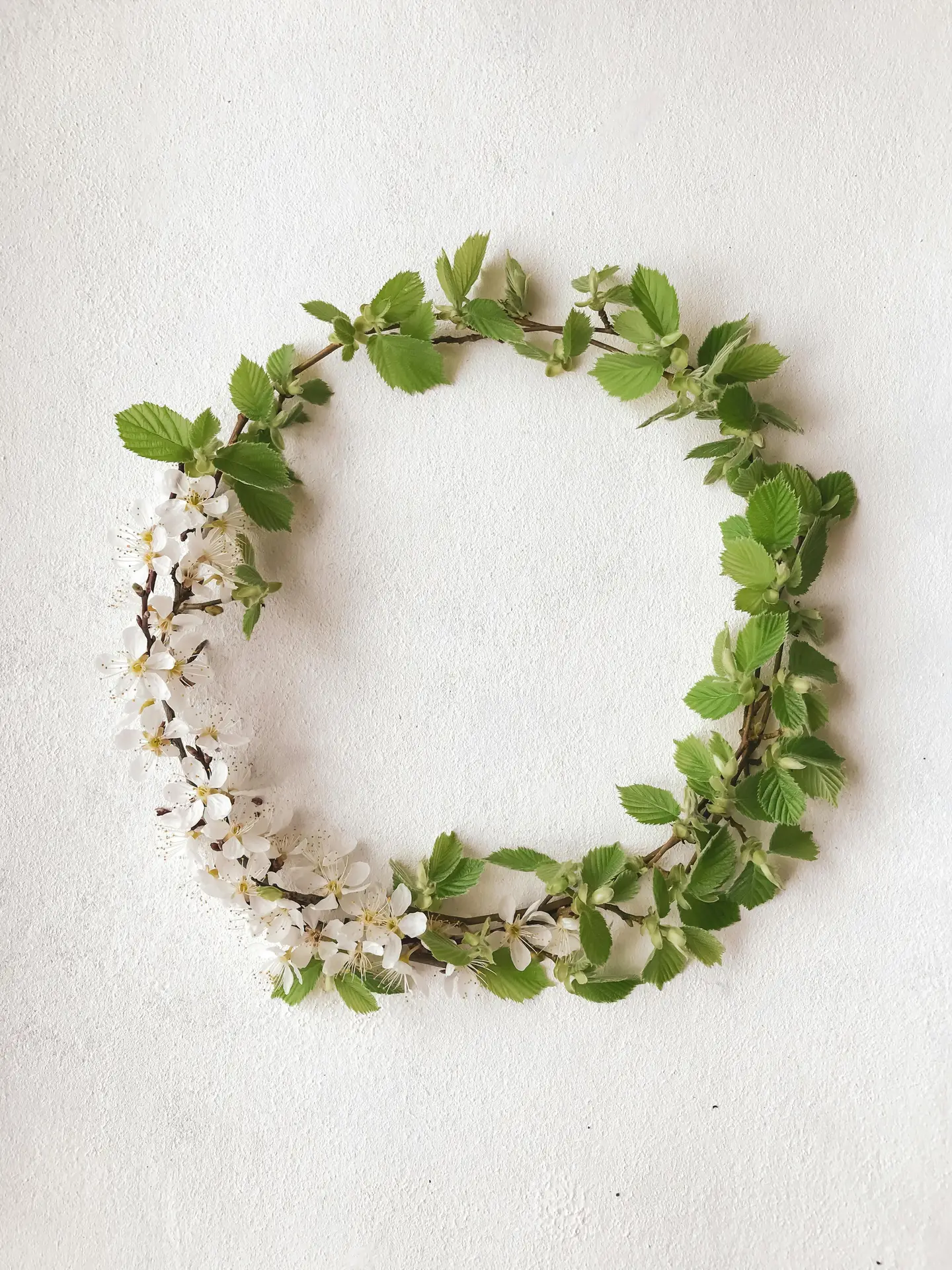 A minimalist delicate cherry blossom wreath featuring a slender branch with fresh green leaves and small white flowers on one side. The natural, airy design is set against a textured white wall, providing a graceful and simple idea for a spring door wreath.