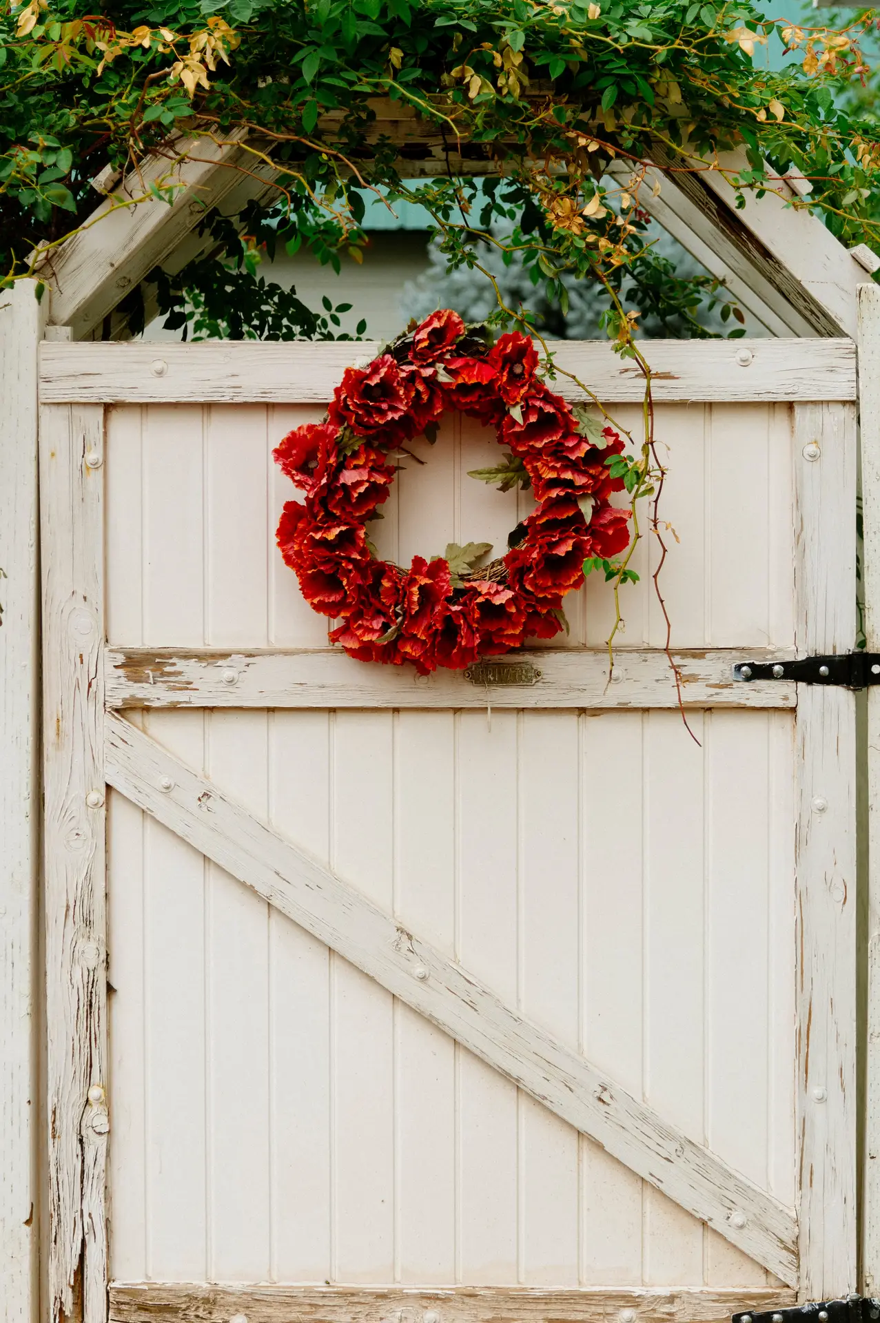 A vibrant red poppy wreath featuring ruffled crimson petals hangs on a rustic white wooden garden gate. Framed by lush green climbing plants and an arched wooden trellis, the bold floral arrangement creates a picturesque and country-style example of a spring door wreath.
