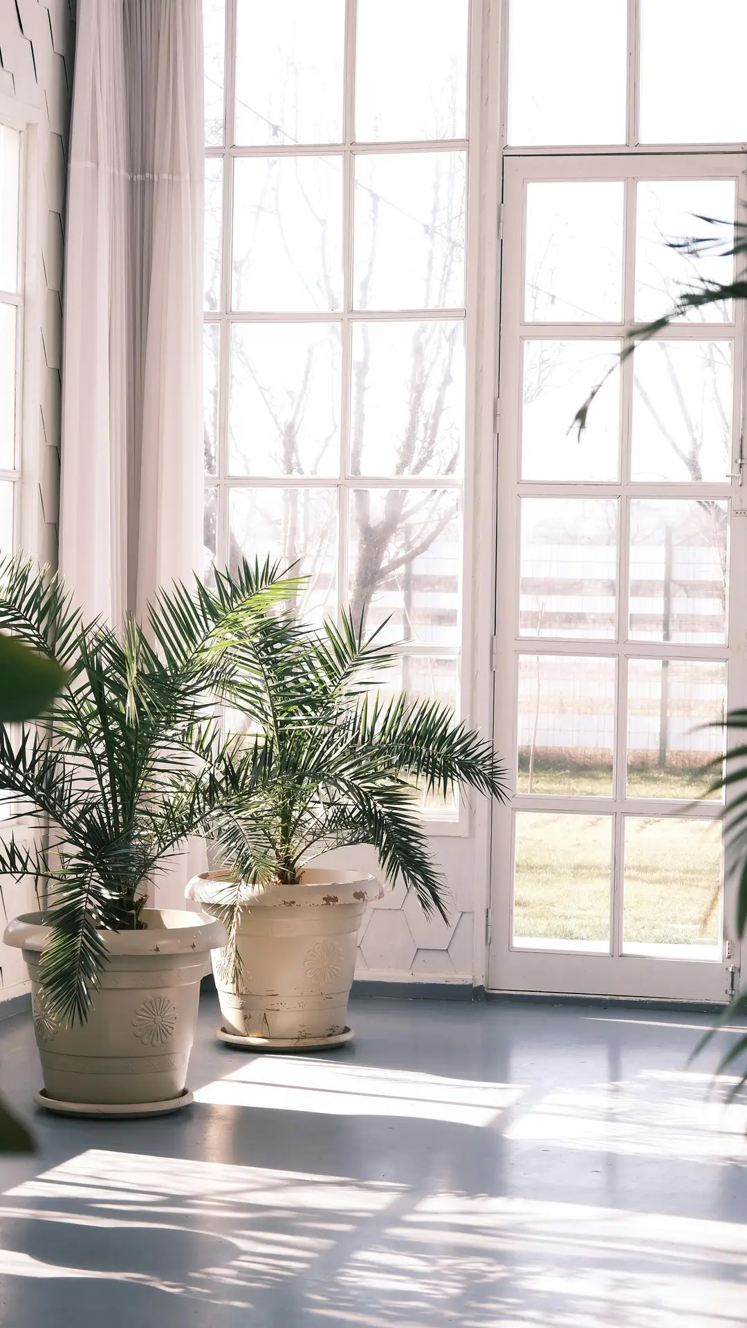 A light-filled post-and-beam sunroom corner, perfect for gathering sun room ideas, is filled with a cozy wicker armchair and cushions, numerous potted ferns, tropical plants, and a large monstera. The space beautifully demonstrates how to integrate plants throughout your home, with greenery cascading from shelves and hanging baskets, looking out onto a lush garden.
