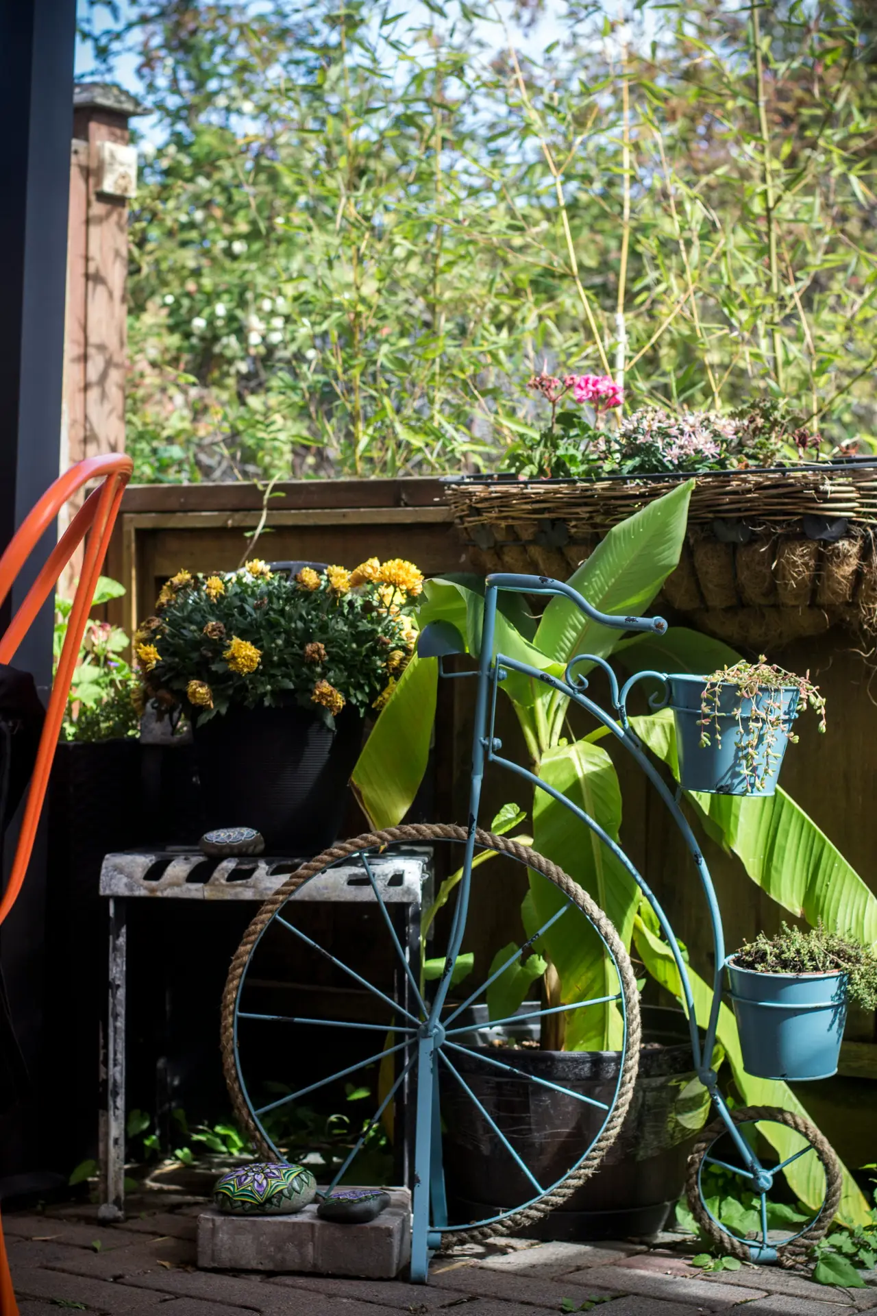 A charming outdoor garden display of vintage garden decor features a historical decorative bicycle with flower pot holders on a rustic patio. This antique-style, light blue-green metal bicycle stands on weathered stone pavers and holds three small pots with trailing green plants. To the left, a black cylindrical pot on a weathered metal stool overflows with vibrant yellow flowers (Orchids/Mums). Intricately painted pebbles with mandala-like patterns are placed on the stool and a grey brick. The bicycle is framed by large banana leaves, bamboo, and varied garden foliage, with a large woven wicker basket hanging from a wooden fence, filled with mixed blooms including pink geraniums. The scene is illuminated by natural light.