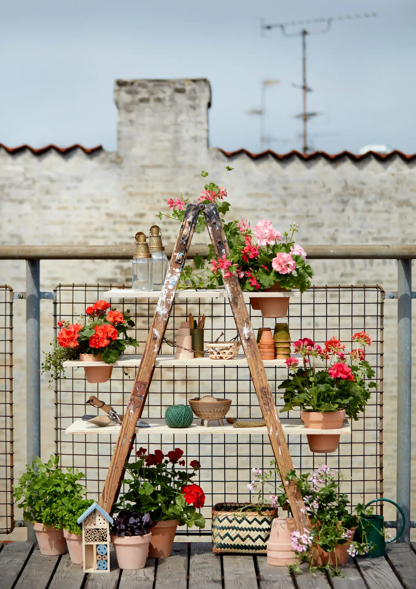 A creative example of vintage garden decor featuring an old wooden step ladder splattered with paint, repurposed as a multi-tiered plant stand. It is decorated with various terracotta pots containing red and pink geraniums, gardening tools, a ball of green twine, and small lanterns. The display stands on a wooden terrace against a metal mesh fence, with a brick chimney and rooftops visible in the background.