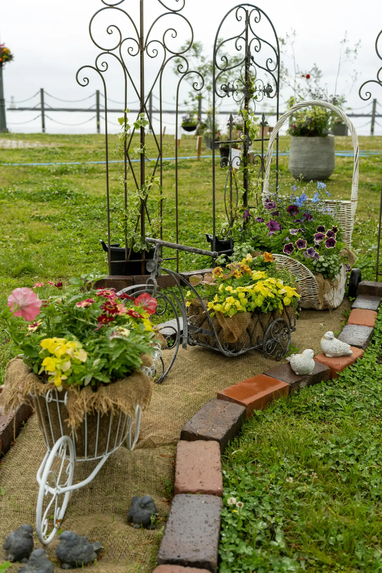 A detailed photograph captures a curated outdoor exhibit of vintage garden decor in a grassy area with a distant view of a shoreline and fence. Multiple vintage decor elements are arranged along a burlap path edged with multi-colored bricks. In the foreground, a white, wireframe bicycle acts as a planter, its basket filled with yellow and red flowers and lined with burlap. Behind it, a rusty, weathered adult tricycle holds a burlap-lined metal basket brimming with vibrant yellow pansies. To the right of the tricycle is a large, woven white wicker basket, also lined with burlap and displaying deep purple petunias and smaller blue flowers. The background features two tall, ornate, dark-metal trellises with climbing green ivy. Along the brick edge are small concrete bird figurines, adding to the charming, antique feel. The ground is covered with green grass and weeds under a grey sky.