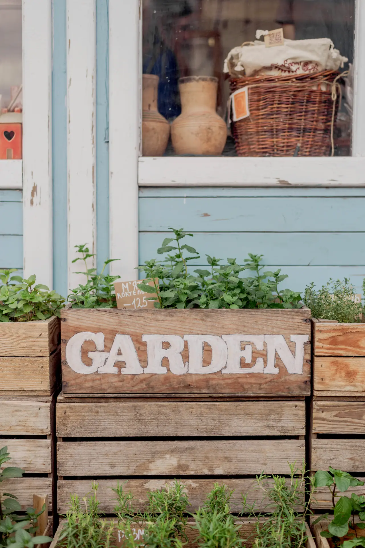 A rustic backyard scene featuring an eco-friendly project where someone built a large, tiered raised bed from old wooden pallets, now filled with thriving vegetable plants and marigolds. Next to the main bed, which has 'GARDEN' stenciled on the front, is a weathered wooden garden shed and a collection of vintage garden decor, including galvanized watering cans and terracotta pots, making the space functional and nostalgic.