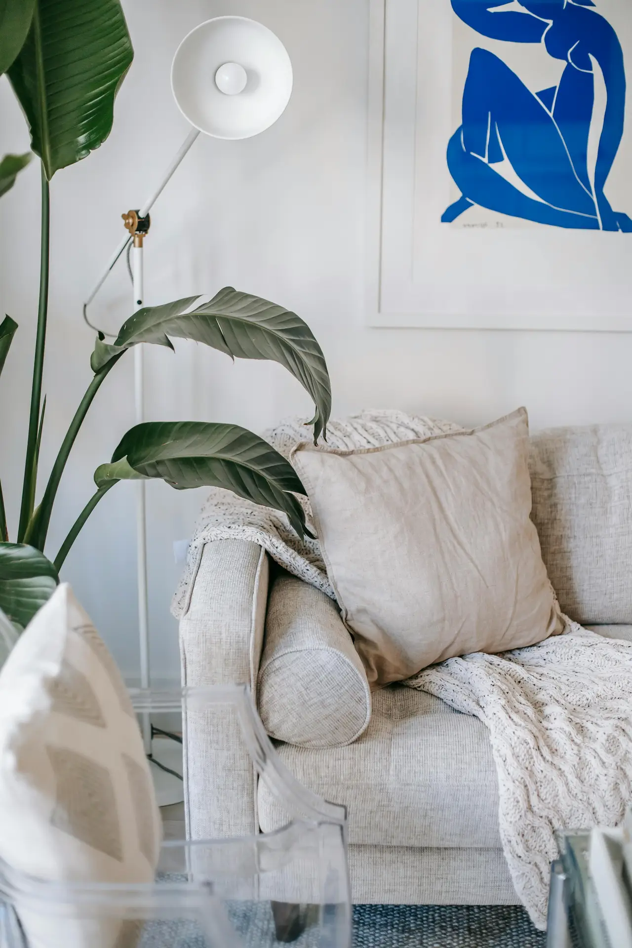 A serene and modern interior displaying coastal living room ideas with a focus on Light Grey, Cozy Textures & Plant life. The image features the corner of a light grey sofa adorned with a beige linen pillow and a chunky white knit throw blanket. A large, vibrant green bird of paradise plant stands beside the couch, next to a minimalist white floor lamp. On the wall above the seating area, a framed piece of abstract blue art provides a bold contrast to the neutral tones, creating a calm and inviting seaside aesthetic.