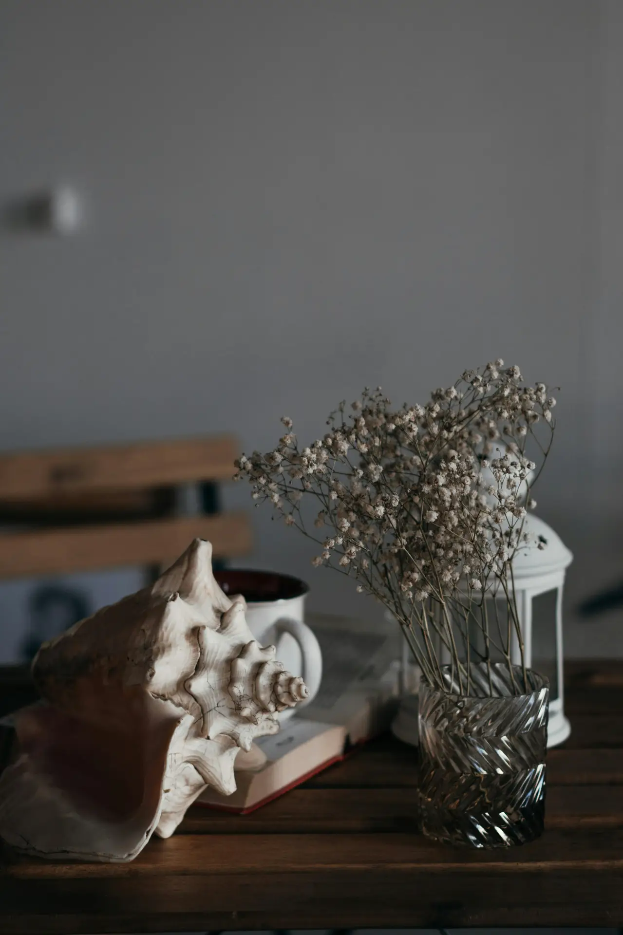 A moody and nostalgic close-up showcasing beautiful coastal living room ideas. Resting on a dark wooden table is a large, intricately textured conch seashell and baby's breath in a fluted glass vase. The atmospheric arrangement is accompanied by a white mug, a vintage book, and a white decorative lantern in the background, all captured in soft, natural light to create a peaceful and timeless maritime feel.