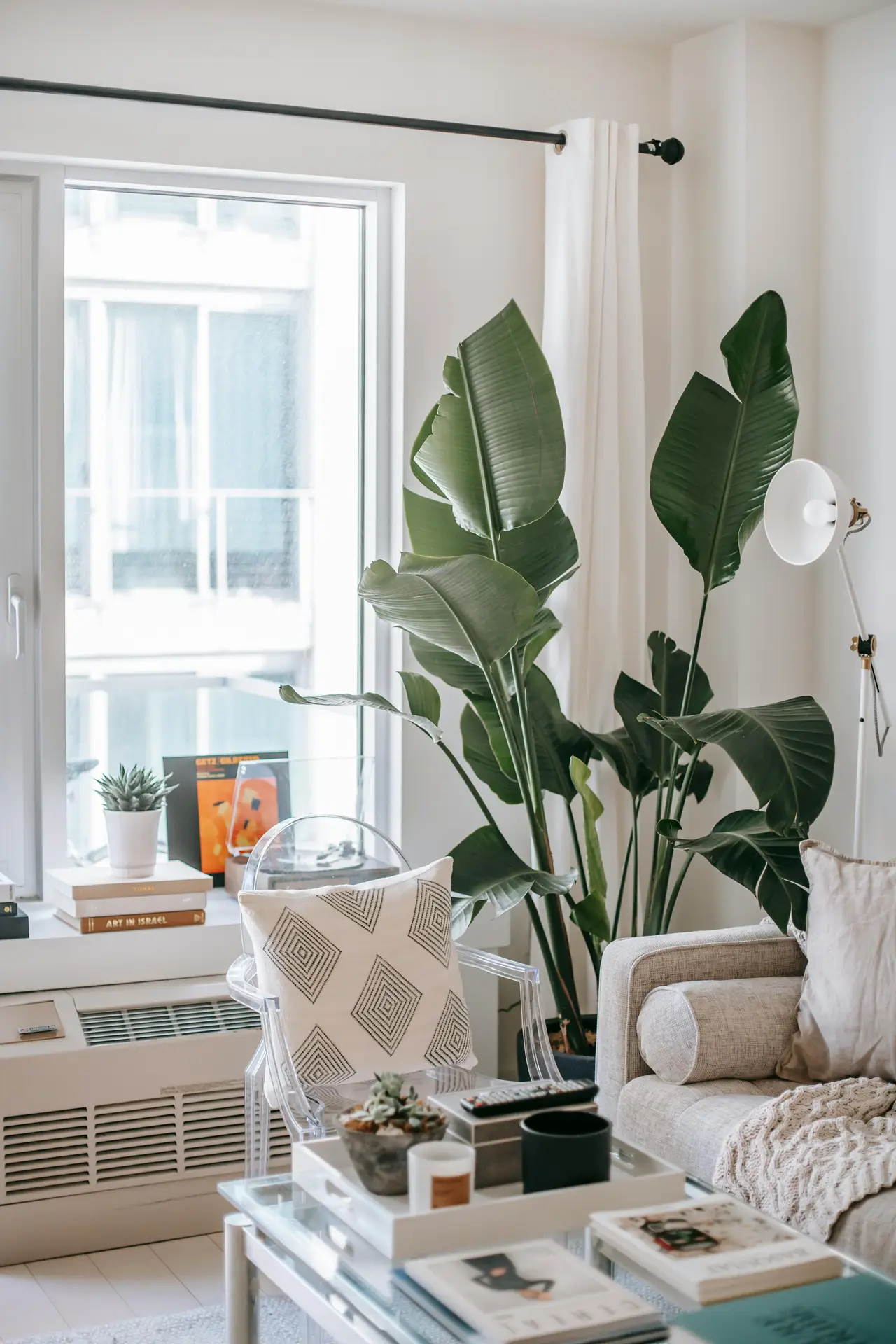A bright and airy living area illustrating smart small apartment decorating ideas to create a cozy feel. On a white side table with a patterned cloth, a round terracotta pot holds a leafy Big Plant for Corners, its fronds spreading towards the light. Behind it, a gallery wall features framed botanical art prints and a woven fan decoration against a pale green wall. A small, comfy armchair is partially visible, flanked by string lights and a floor lamp, creating a perfect reading nook.