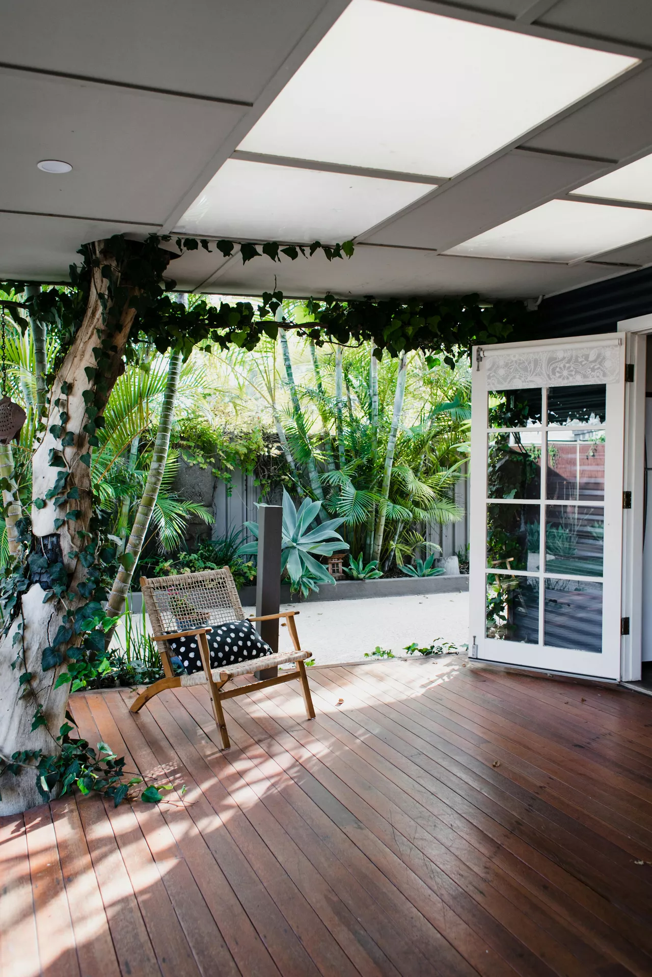 A shaded wooden deck under a paneled white ceiling showcases serene front porch decor ideas for summer. The space features a sleek minimalist style, with a single woven lounge chair accented by a black-and-white polka dot pillow sitting on the polished timber floor. A tree trunk wrapped in climbing ivy grows through the deck, leading the eye toward a lush tropical garden filled with palm trees and large succulents in the background. An open white French door with glass panes connects the indoor space to this tranquil outdoor oasis, emphasizing a seamless and airy design.