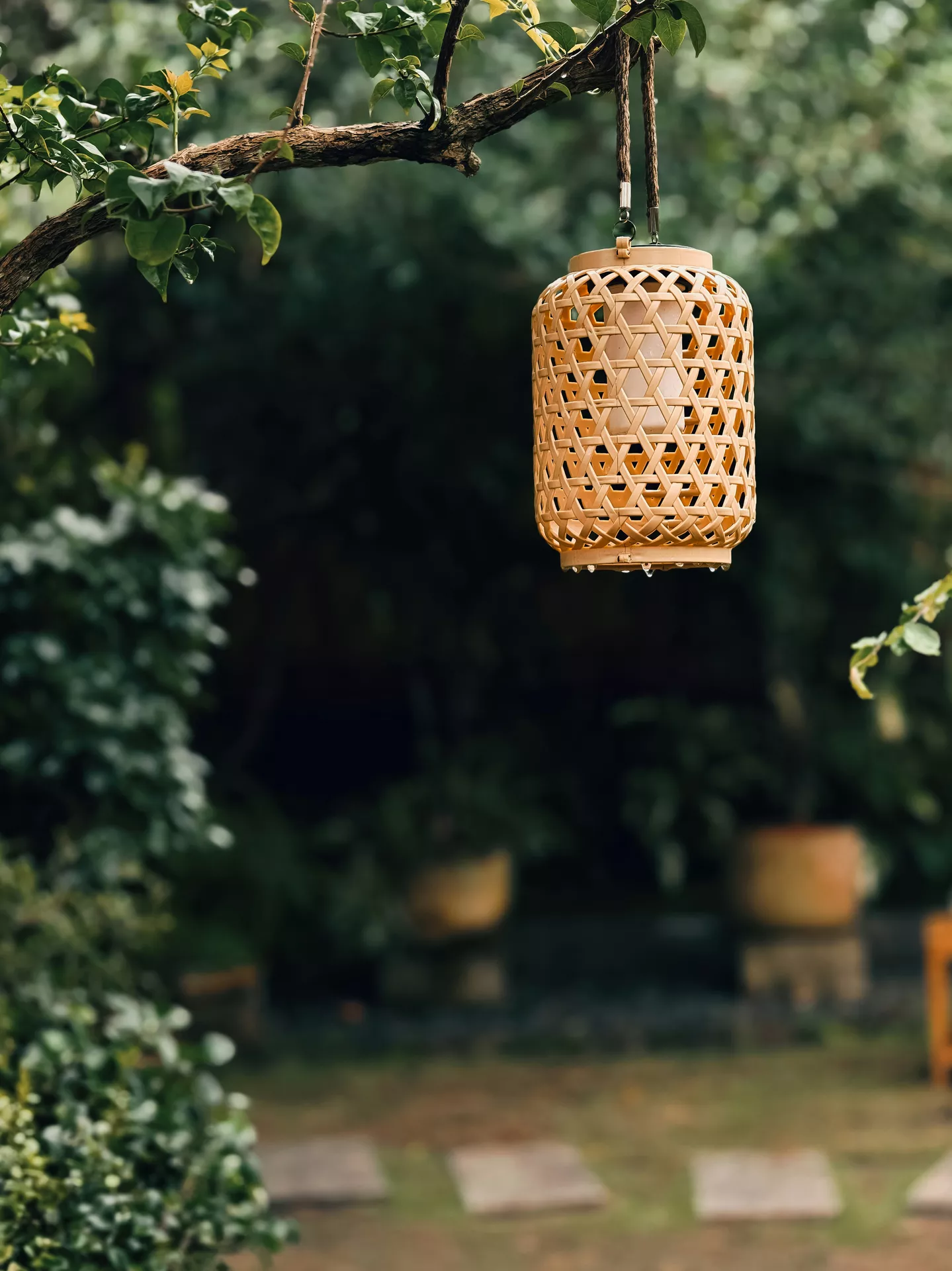 A serene garden setting illustrates natural lantern summer decor ideas with a cozy, organic feel. A cylindrical light brown rattan lantern hangs by a thick rope from a tree branch covered in fresh green leaves. The open-weave lantern features an internal white frosted cylindrical light cover, and tiny water droplets from recent rain cling to its bottom rim. In the softly blurred background, a lush green backyard garden with potted plants and stone garden path pavers creates a tranquil outdoor atmosphere.