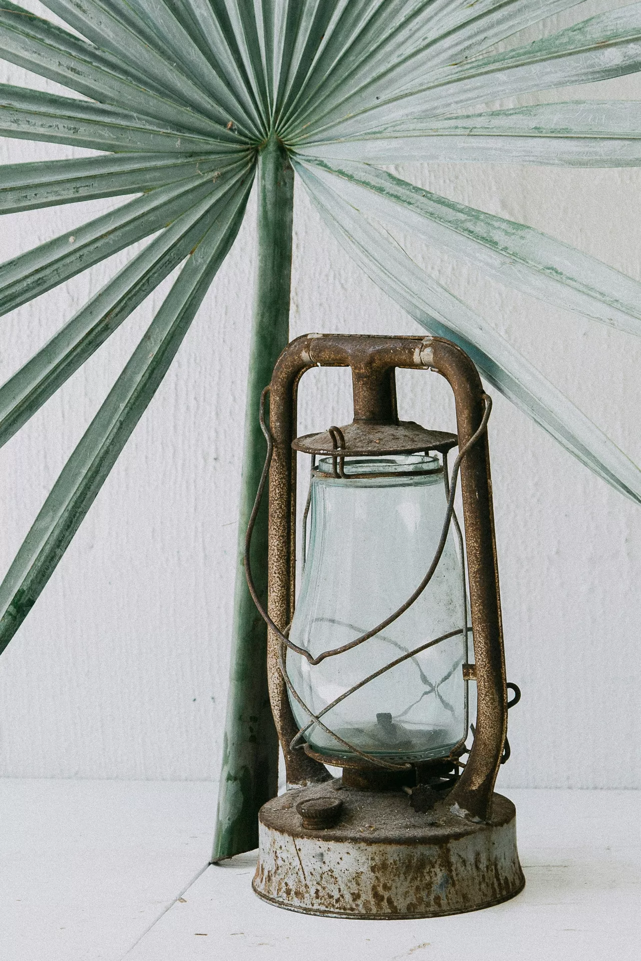 A minimalist and rustic tropical setting highlights timeless lantern summer decor ideas against a clean white textured wall. An old, unlit vintage lantern sits on a plain white surface, displaying a heavily rusted brown metal frame and a clear, slightly curved glass globe cage. Directly behind the weathered lantern, a large green fan palm leaf stands vertically, its long pointed fronds radiating outwards to bring a fresh, organic summer vibe to the antique decorative arrangement.