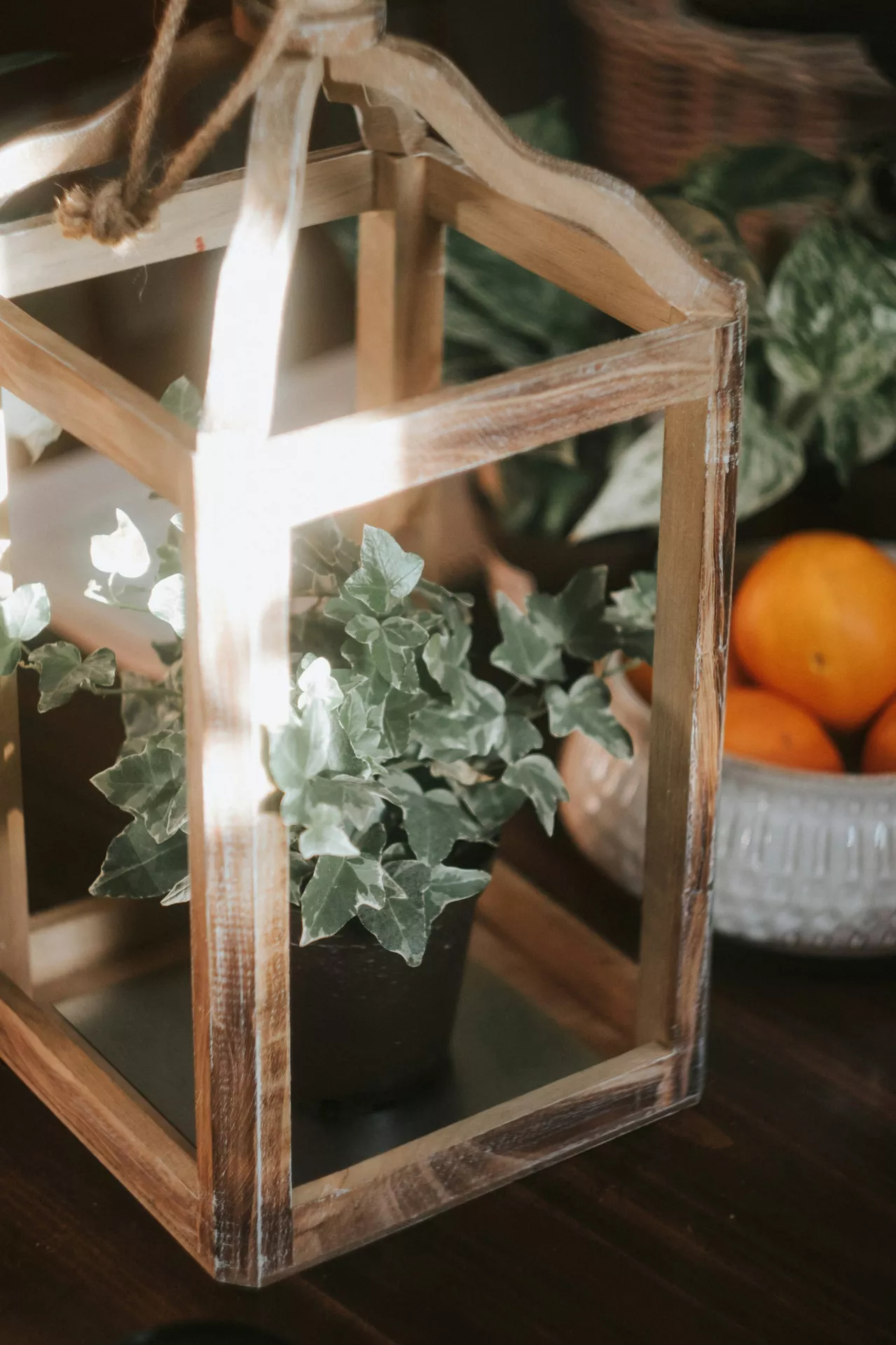 A rustic indoor arrangement showcases natural lantern summer decor ideas on a dark wooden surface. The main focus is an open wooden lantern with plant inside, featuring a glassless rectangular frame made of light brown wood with a thick jute rope handle looped at the top. A small pot holding a lush green ivy plant sits inside the frame, beautifully illuminated by a bright beam of morning sunlight. In the softly blurred background, a grey textured ceramic bowl filled with bright orange citrus fruits and additional green houseplants enhance the warm, cozy atmosphere.