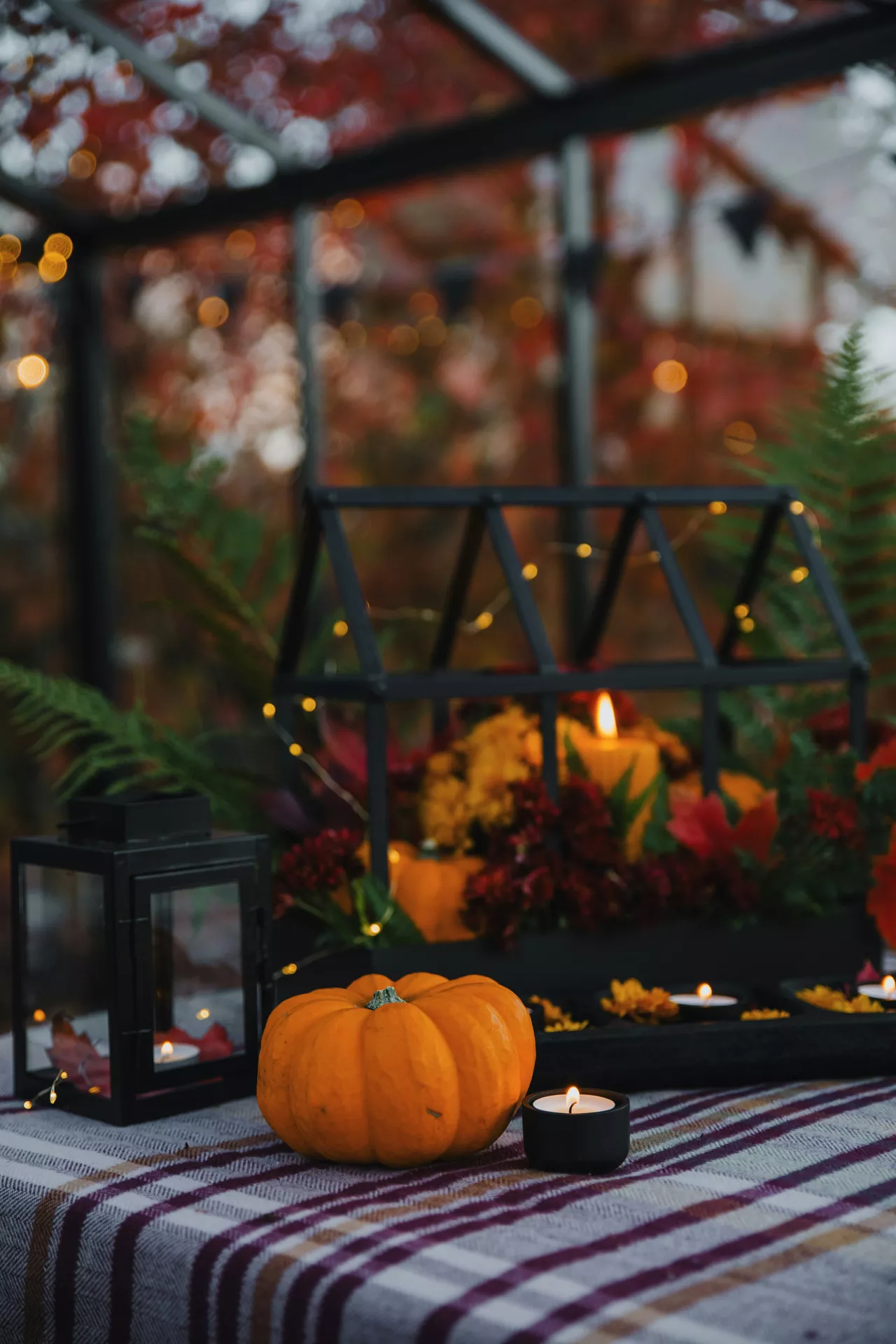 A cozy autumn outdoor setting showcasing inspiring fall table decor ideas on a plaid tablecloth. The arrangement features vibrant orange pumpkins and small decorative greenhouse filled with glowing candles, delicate fairy lights, and rich red autumn foliage. A rustic black lantern, scattered fern leaves, and small tea lights complete the warm seasonal atmosphere against a backdrop of blurred fall trees.