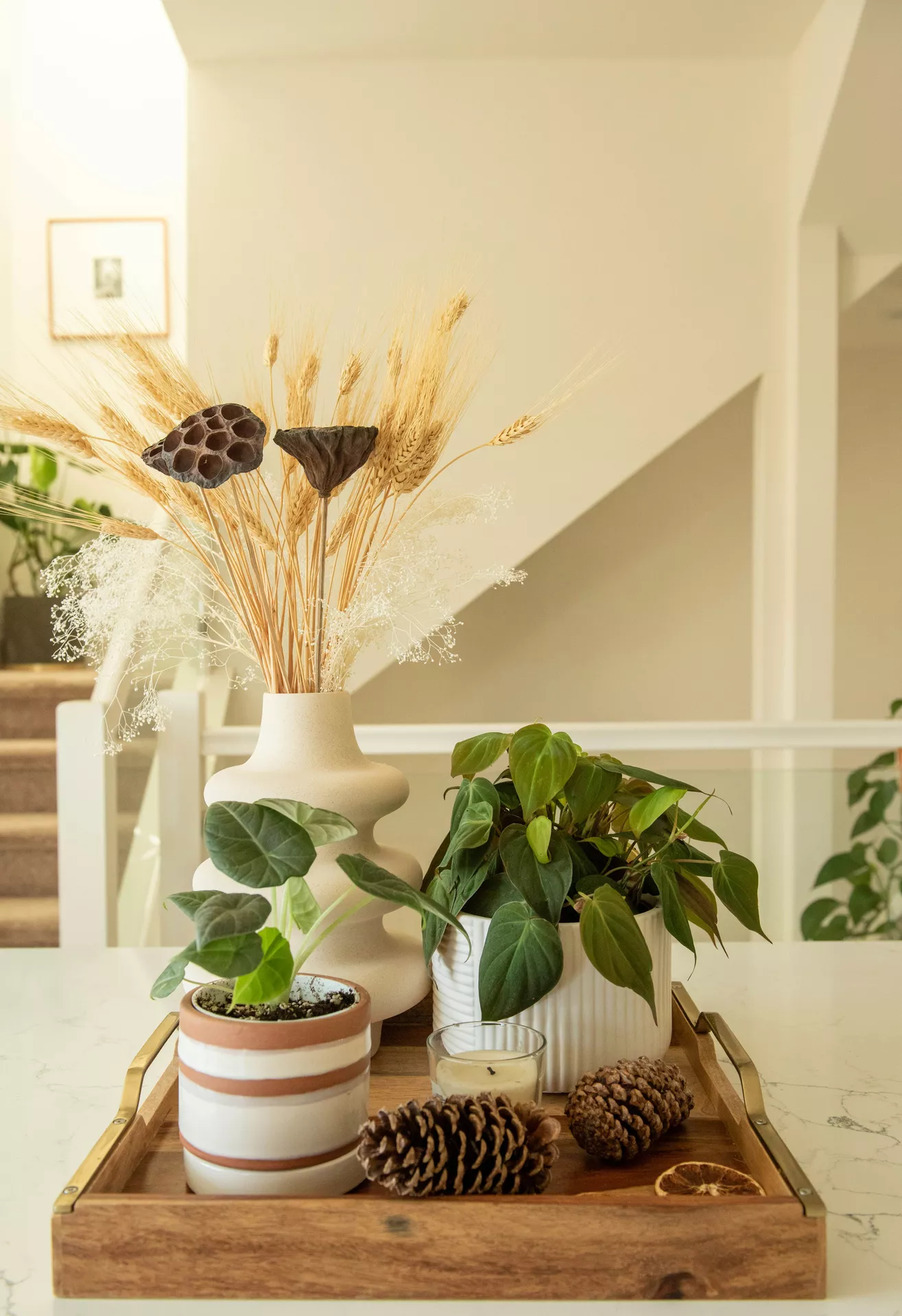 Fall tray decor ideas styled on a wooden tray with Dried Lotus Pods, Dried Wheat Stalks, Greenery, Candle & Pine Cone, featuring potted houseplants, a sculptural ceramic vase, and natural autumn textures for a warm, modern seasonal display.