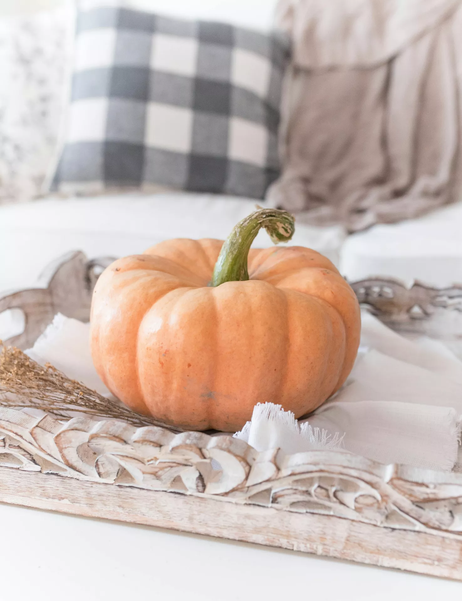 Fall tray decor ideas showcasing an Ornate Wooden Tray With Single Pumpkin styled with a natural pumpkin, soft neutral linens, and dried grasses, creating a simple, cozy, and elegant autumn centerpiece for a farmhouse-inspired living room.
