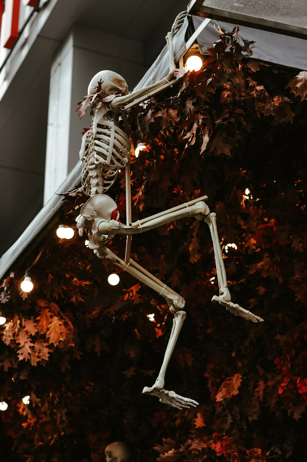 Climbing skeleton attached to a porch roof surrounded by autumn leaves and warm string lights, creating a spooky outdoor display full of Halloween Decor Ideas. This eerie climbing skeleton decoration adds a fun and eye-catching touch to a haunted front porch or entryway.