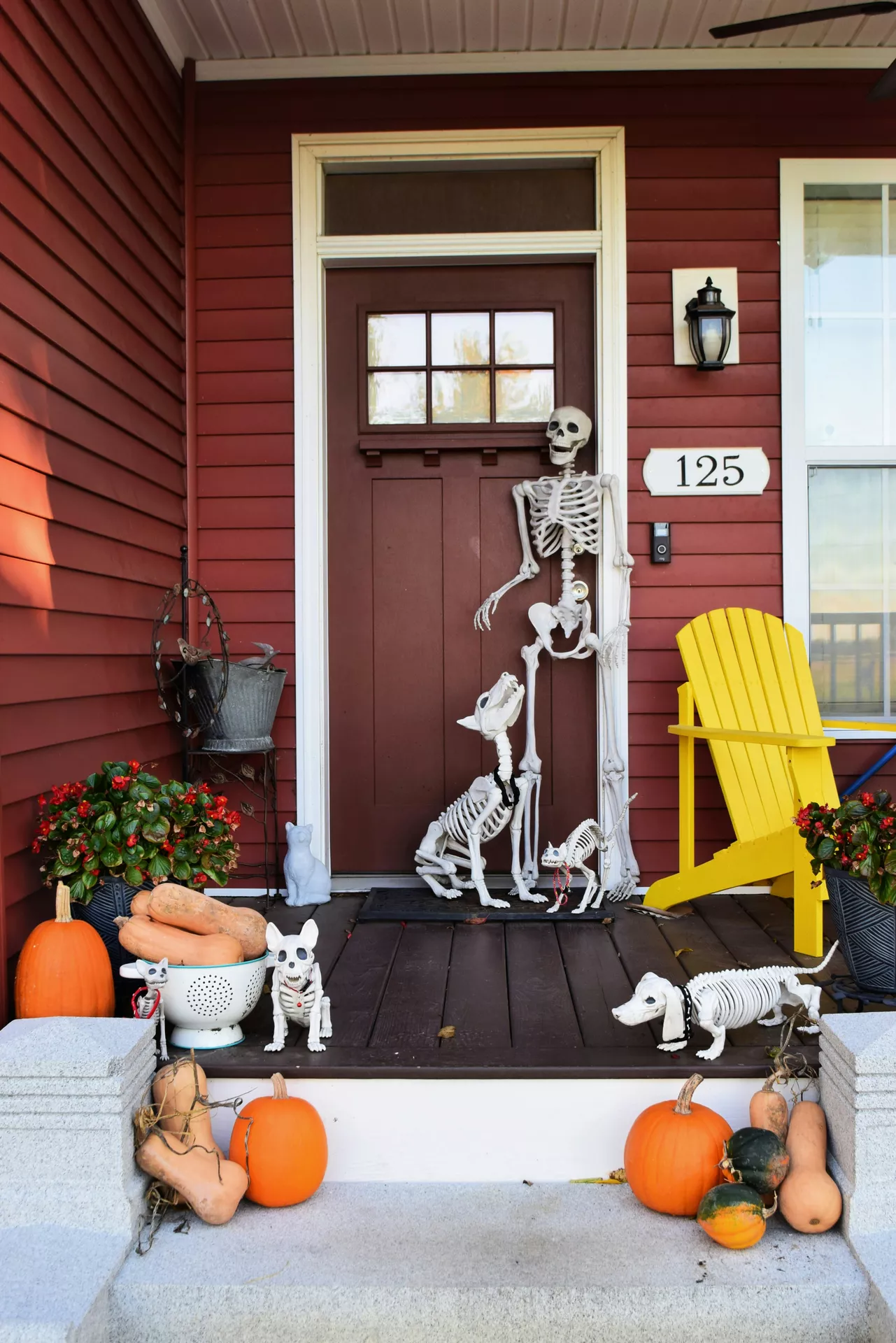 Front porch decorated with different skeletons including a life-size human skeleton, skeleton dog, cat, and small animals surrounded by pumpkins, gourds, and colorful planters. This festive outdoor display is packed with Halloween Decor Ideas and creates a playful yet spooky entrance for the fall season.