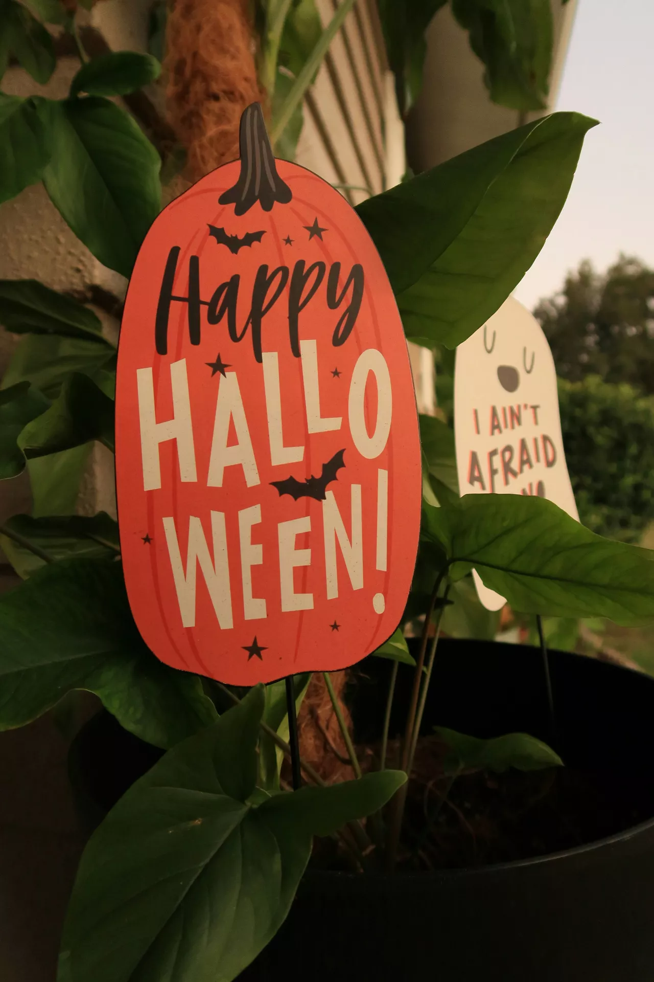 Halloween Decor Ideas featuring a cheerful happy halloween sign shaped like a pumpkin placed among lush green houseplant leaves, with a playful ghost decoration in the background creating a fun and festive seasonal display.