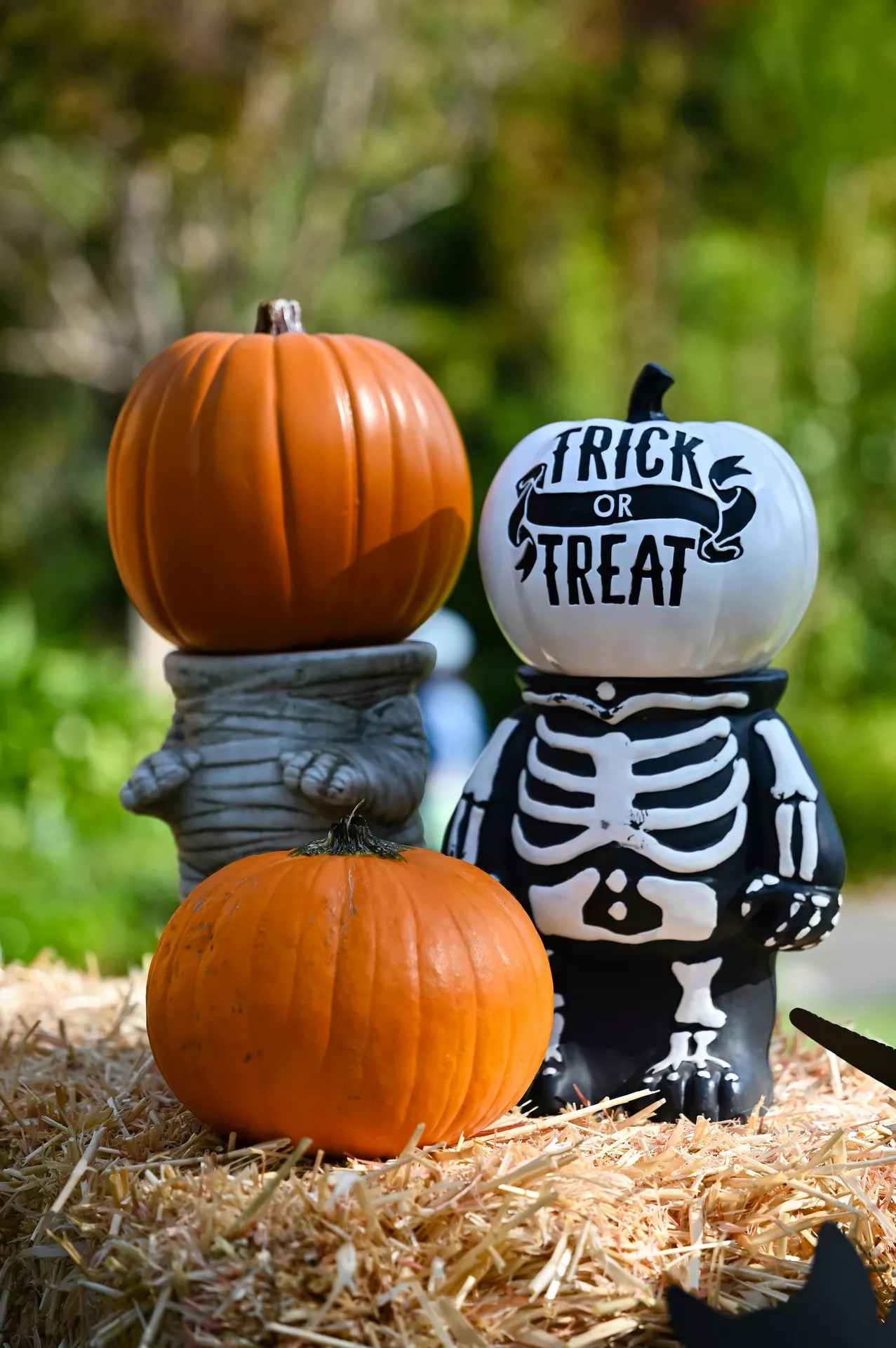 Outdoor Halloween display with orange pumpkins on a hay bale beside a playful skeleton Trick or Treat figure and a gray mummy planter, creating a fun seasonal porch scene. This festive arrangement combines pumpkin and trick or treat figure for cheerful Halloween Decor Ideas that welcome guests with a whimsical touch.