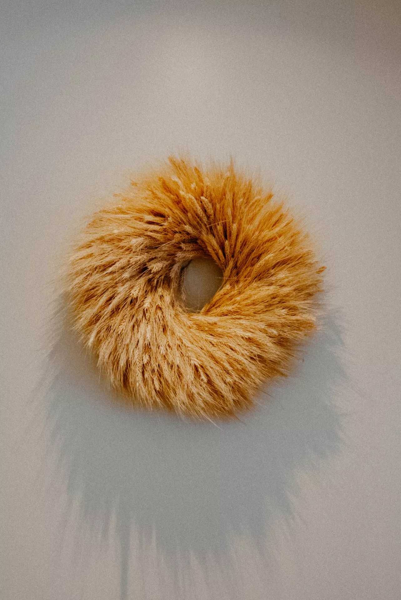 Fall decor wreaths featuring a fluffy pampas grass wreath made from soft golden dried grasses, creating a warm, minimalist autumn accent displayed against a simple white wall.