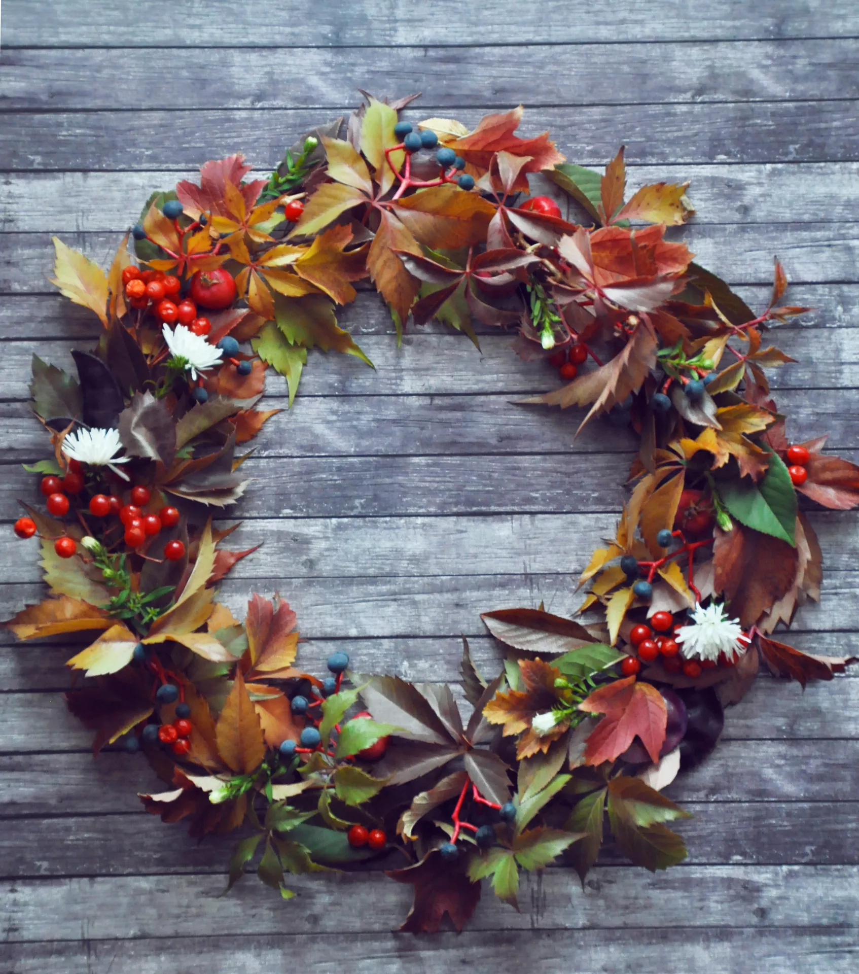 Fall decor wreaths featuring a leaf wreath with virginia creeper and berries, decorated with colorful autumn leaves, bright red and dark blue berries, and small white flowers on a rustic wooden background for a natural seasonal display.