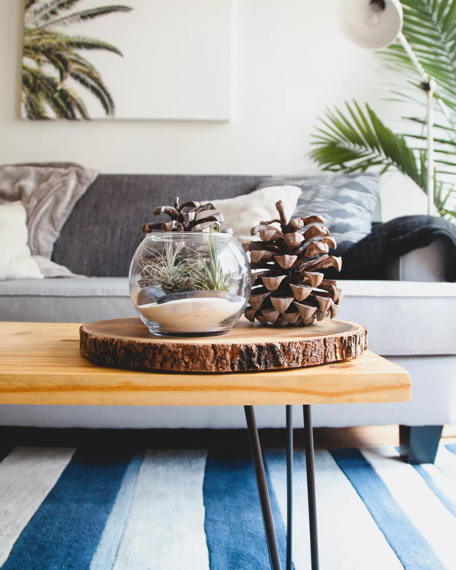 Fall living room decor ideas featuring a Tray With Fall Decor On The Coffee Table, styled with large pine cones and a glass terrarium on a rustic wood slice.