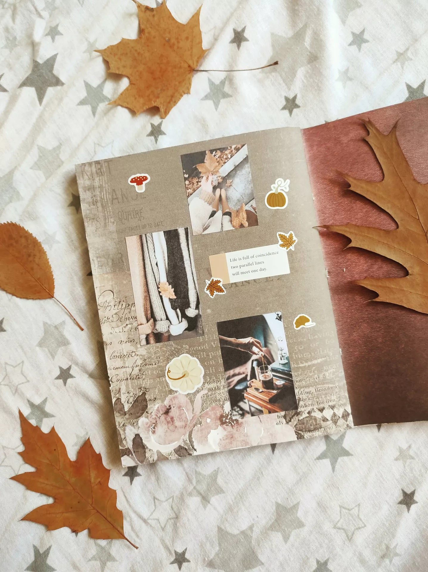 DIY autumn craft ideas featuring an Autumn Scratch Book decorated with cozy fall photos, pumpkin and leaf stickers, warm neutral tones, and dried autumn leaves arranged around it.