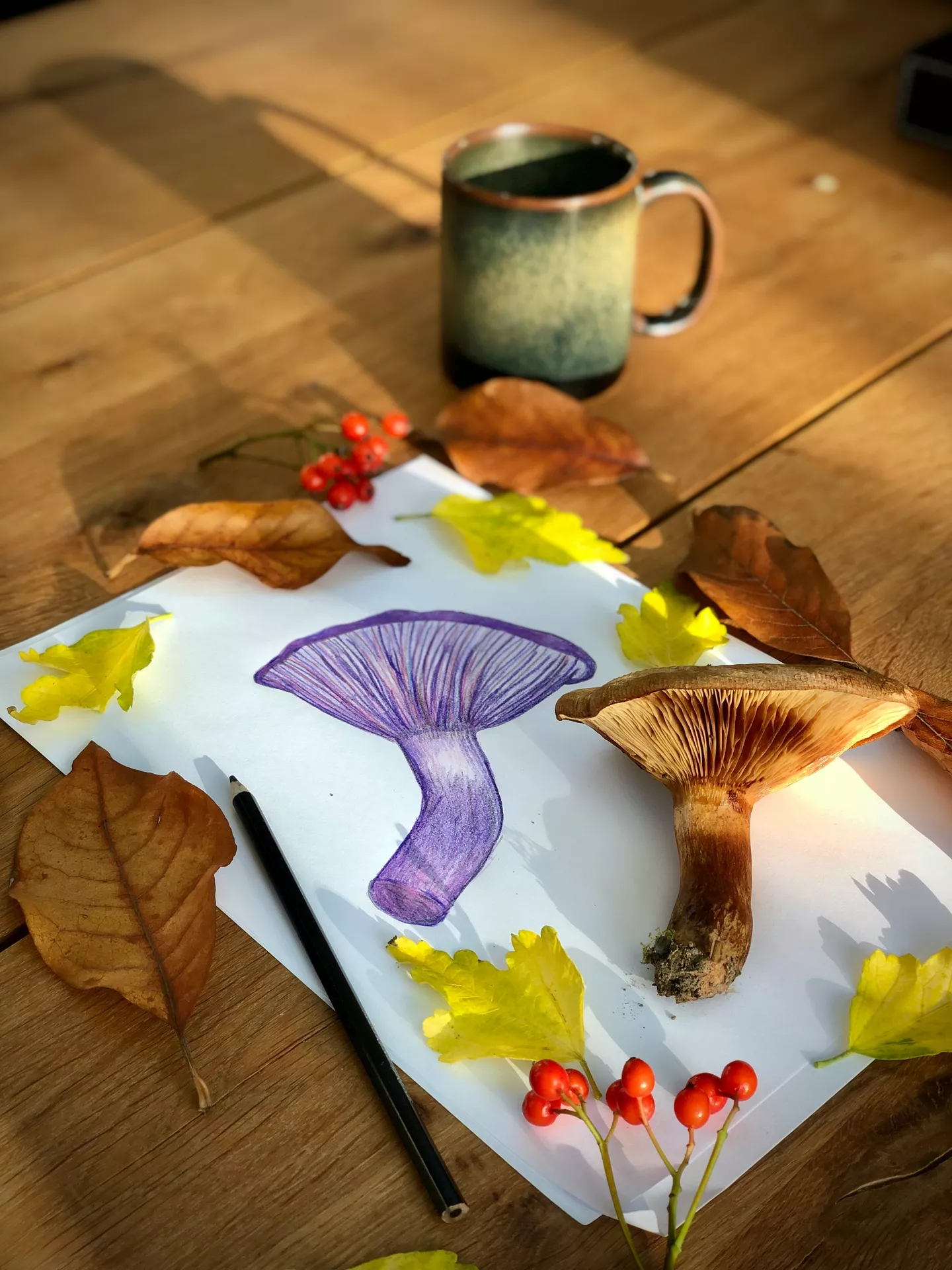 DIY autumn craft ideas featuring Drawing Mushrooms on paper with a purple pencil sketch, a real mushroom for reference, colorful fall leaves, red berries, and a cozy mug on a wooden table.