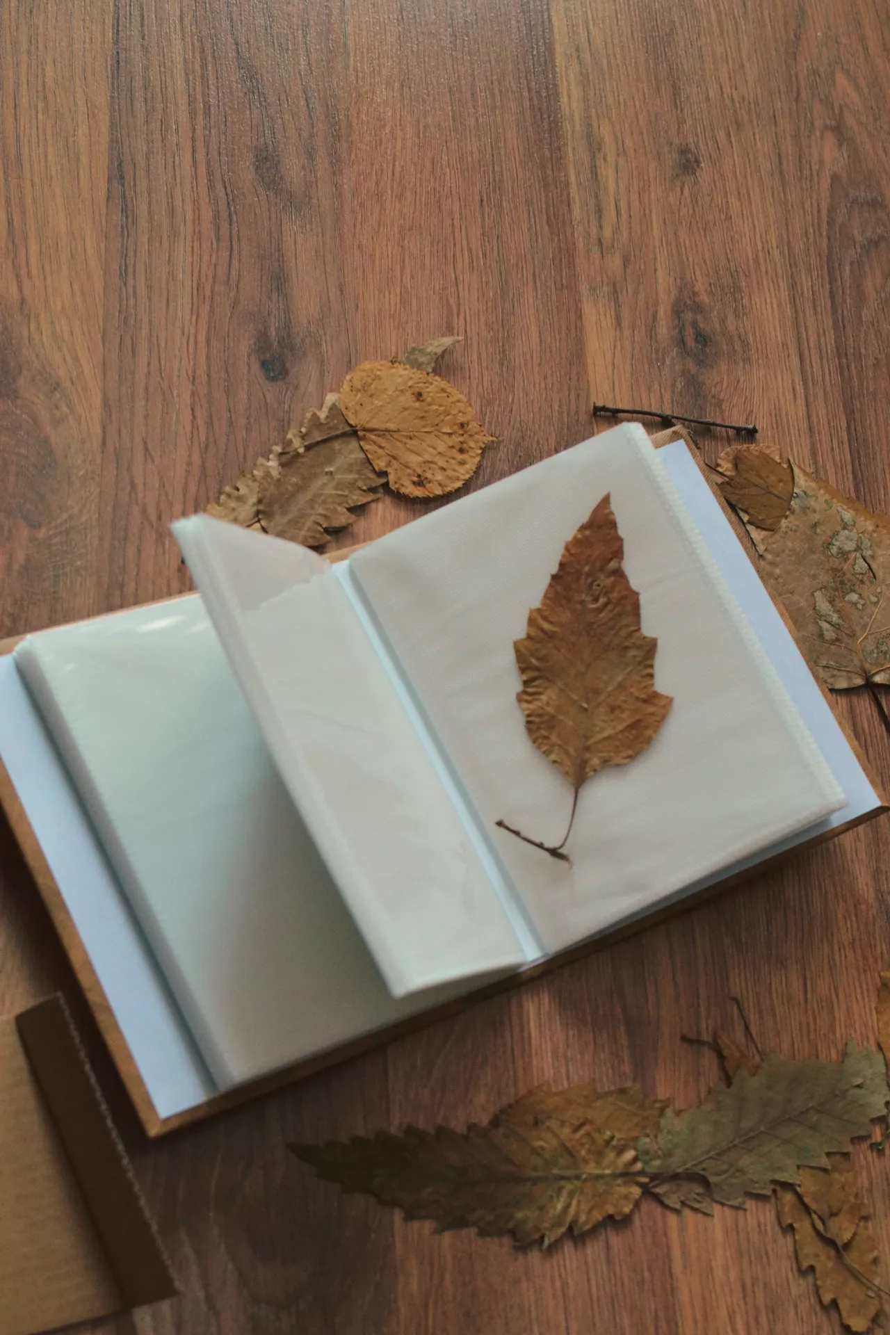 DIY autumn craft ideas featuring pressing leaves in an open photo album, surrounded by dried brown and golden autumn leaves on a wooden surface.