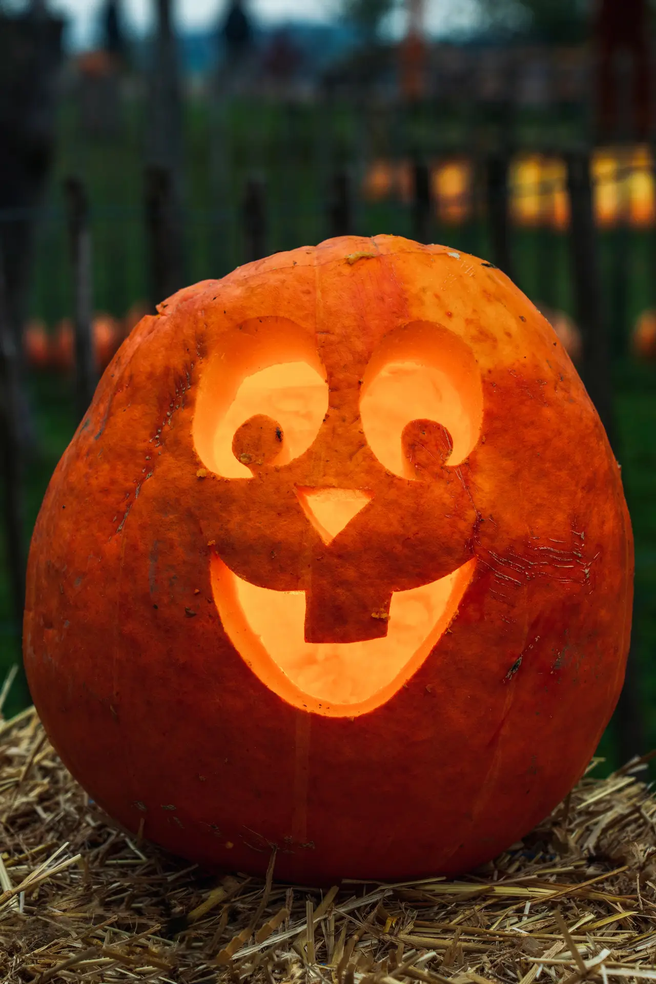 Pumpkin carving ideas featuring a glowing jack-o-lantern with a cheerful bunny face, large rounded eyes, a small triangular nose, and a wide toothy smile.